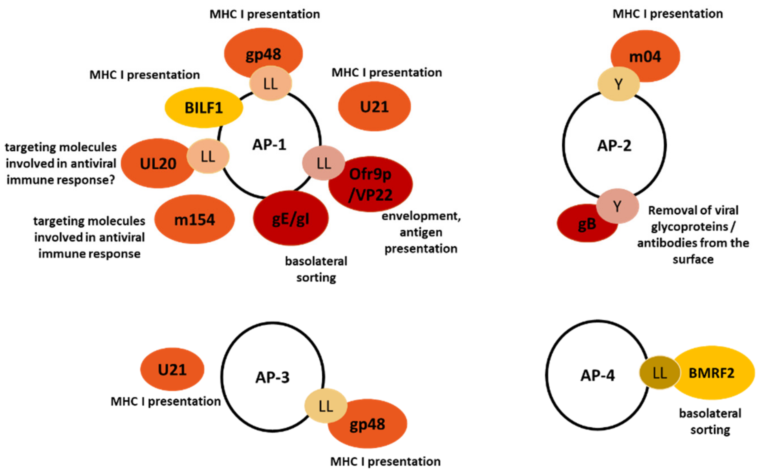 Ijms 22 05274 g002 Ijms 22 05274 g002