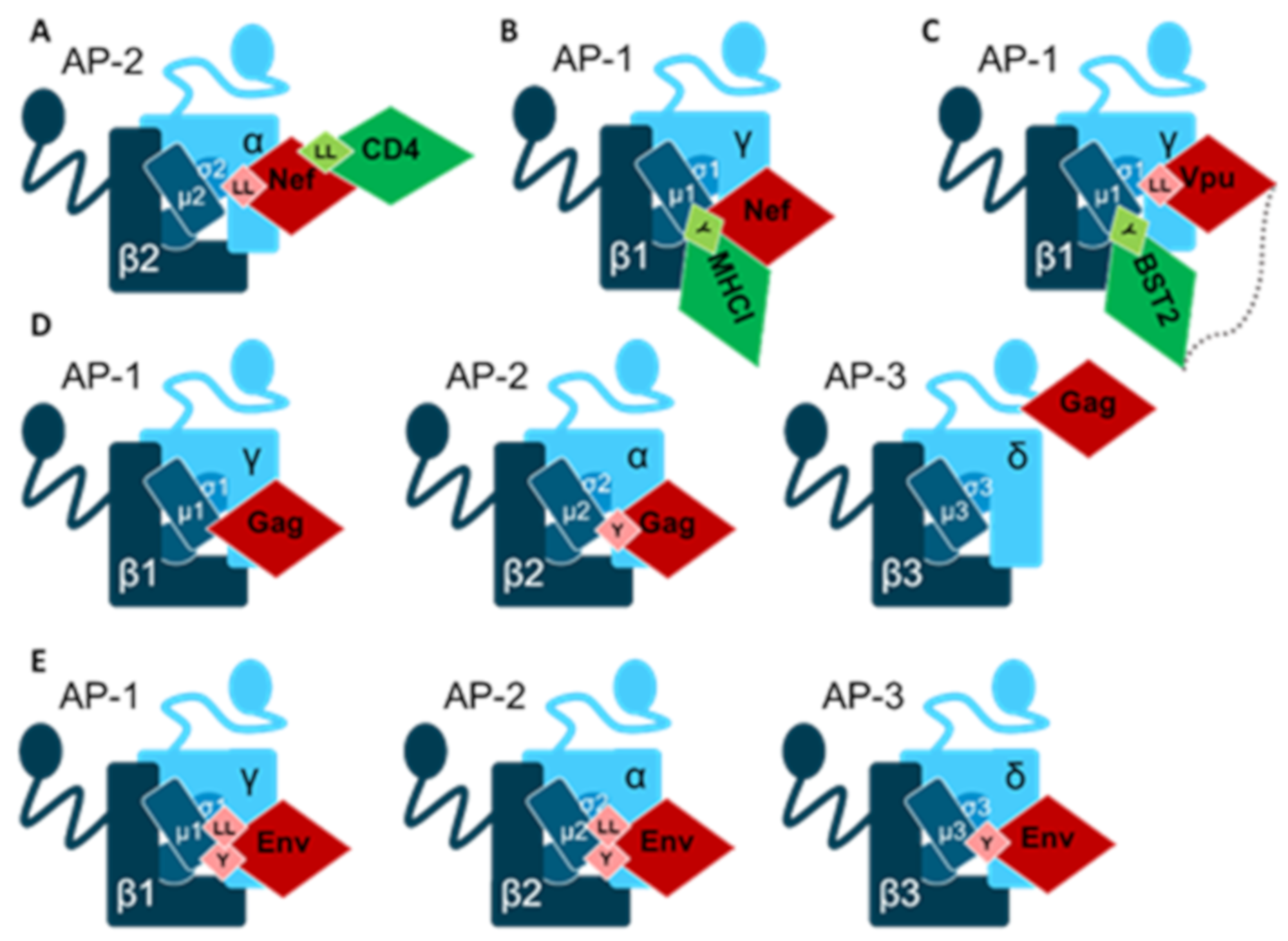 Ijms 22 05274 g003 Ijms 22 05274 g003