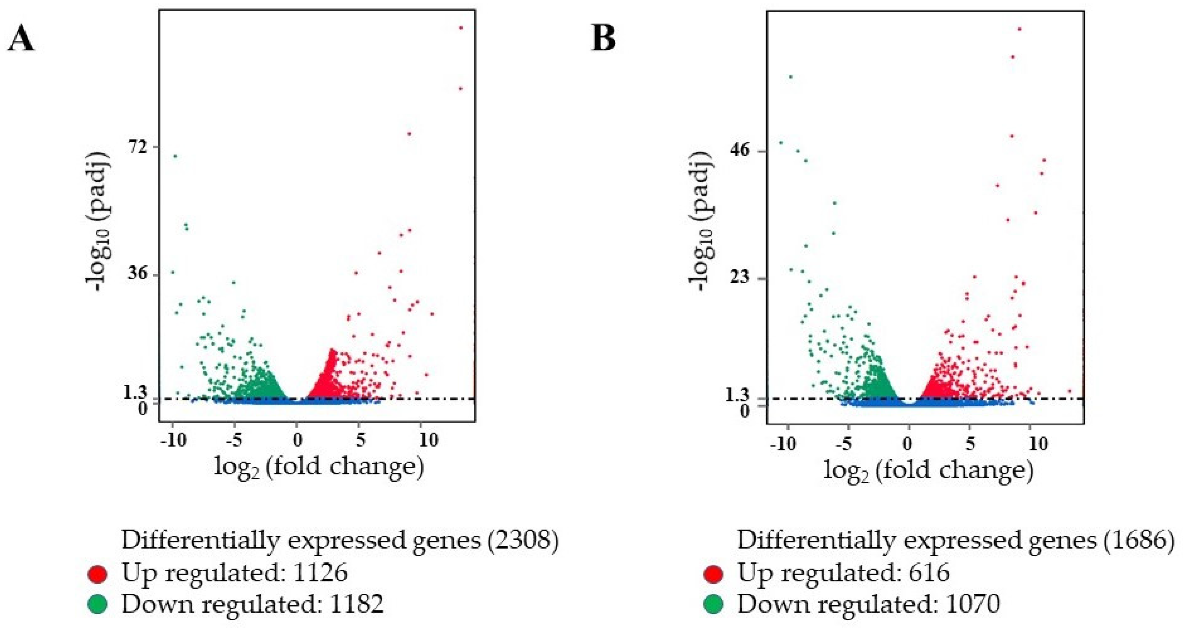 Ijms 22 05294 g001 Ijms 22 05294 g001