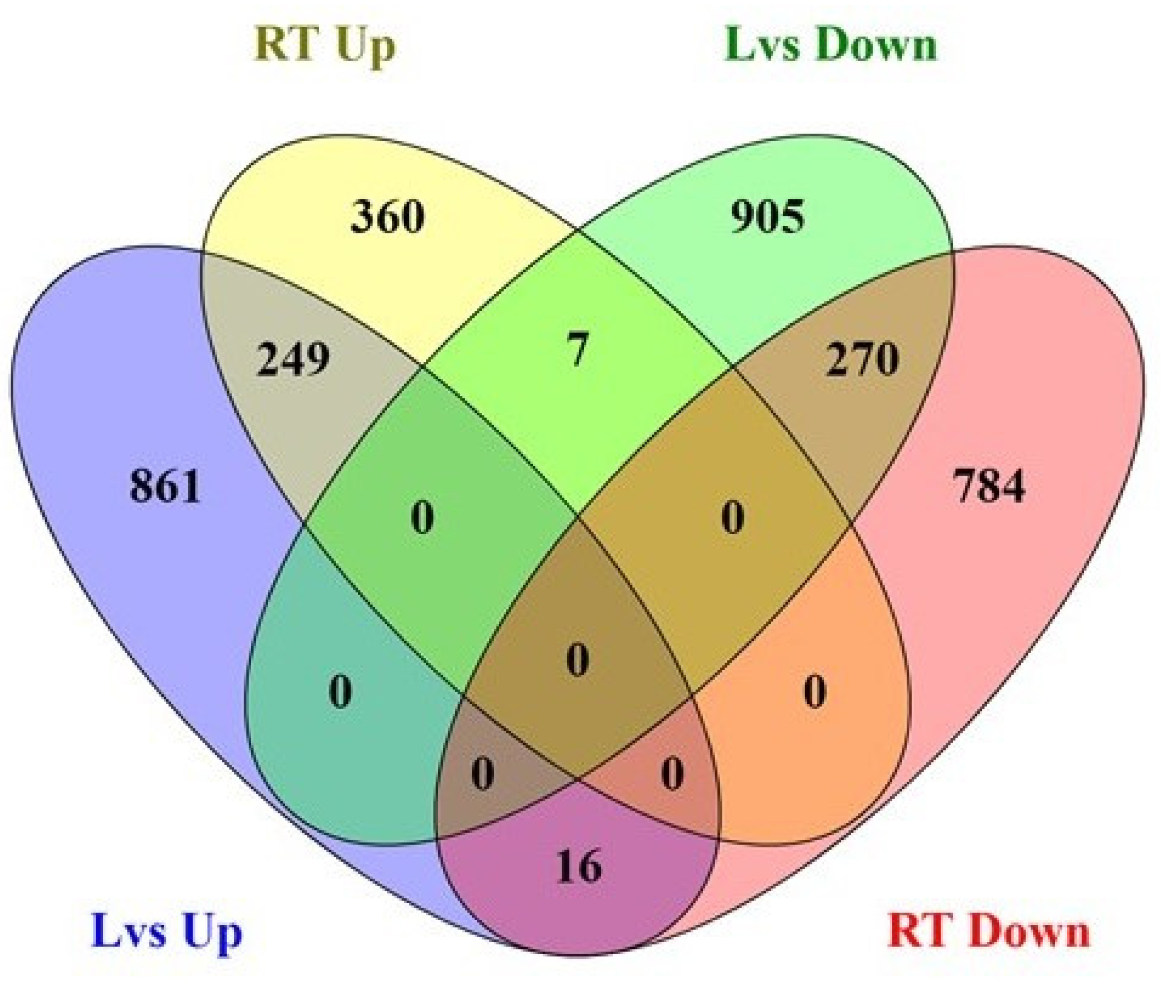 Ijms 22 05294 g002 Ijms 22 05294 g002