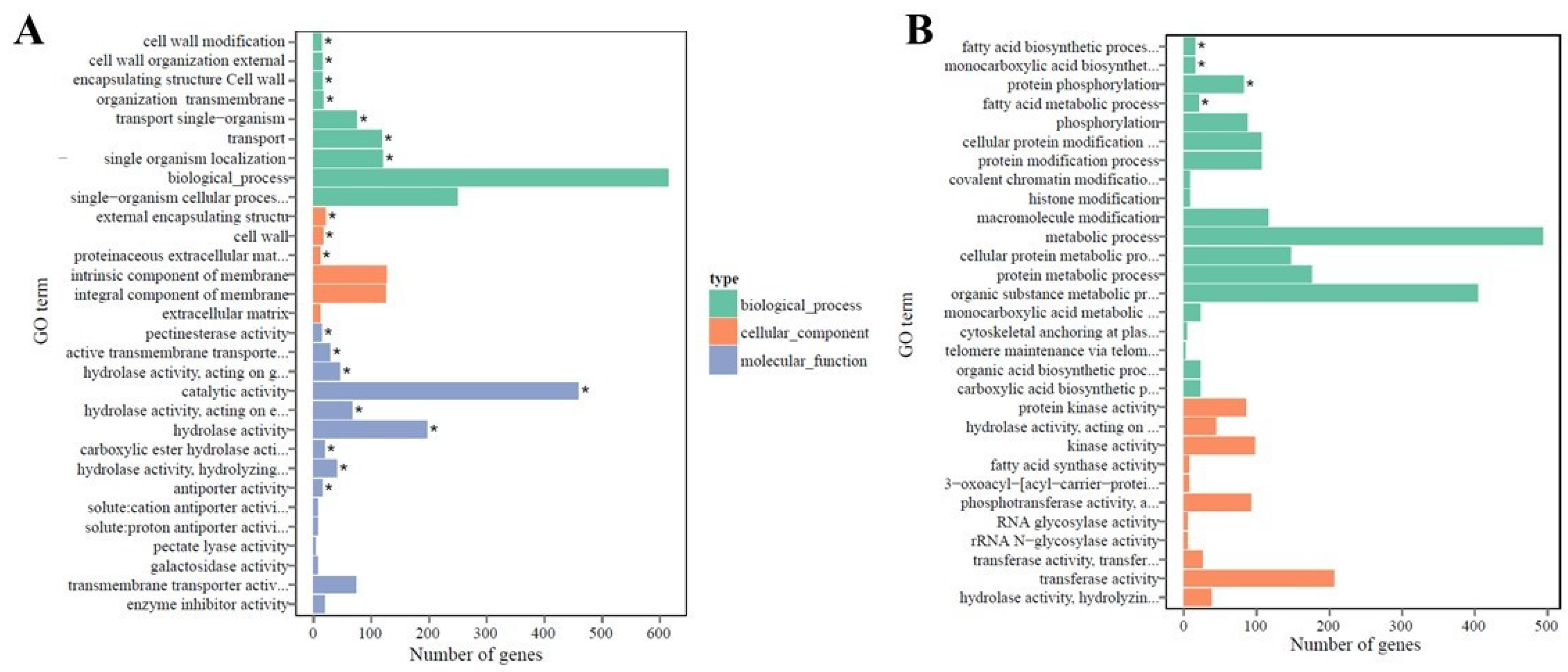 Ijms 22 05294 g003 Ijms 22 05294 g003