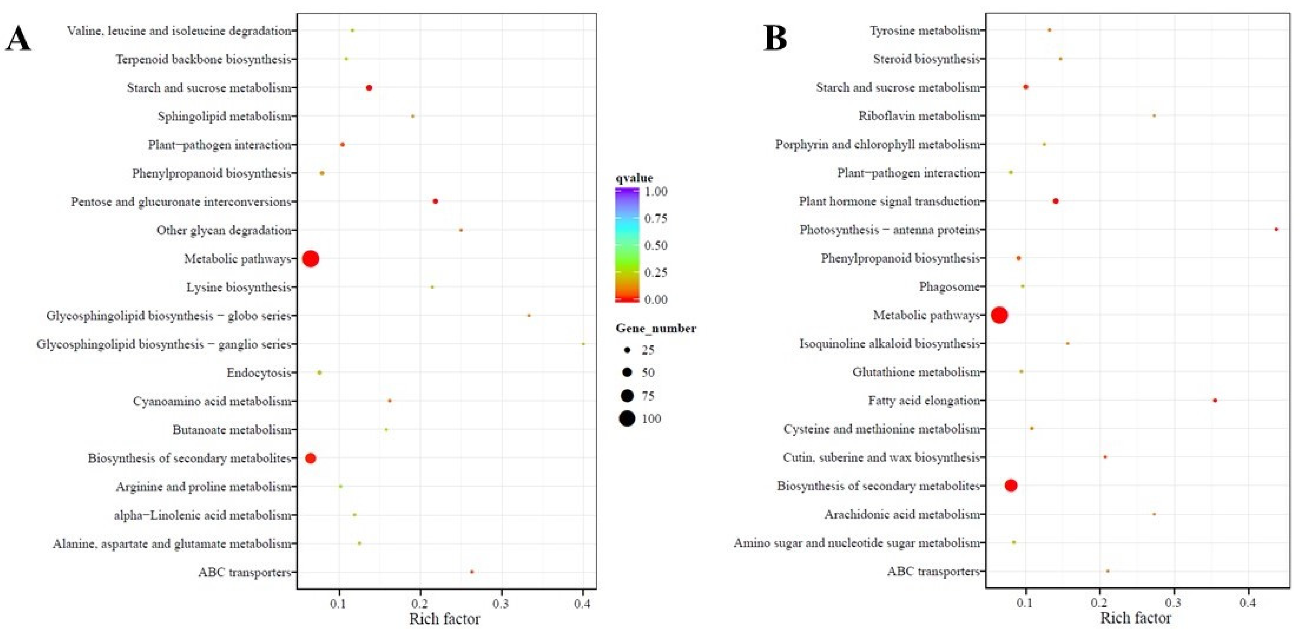 Ijms 22 05294 g005 Ijms 22 05294 g005