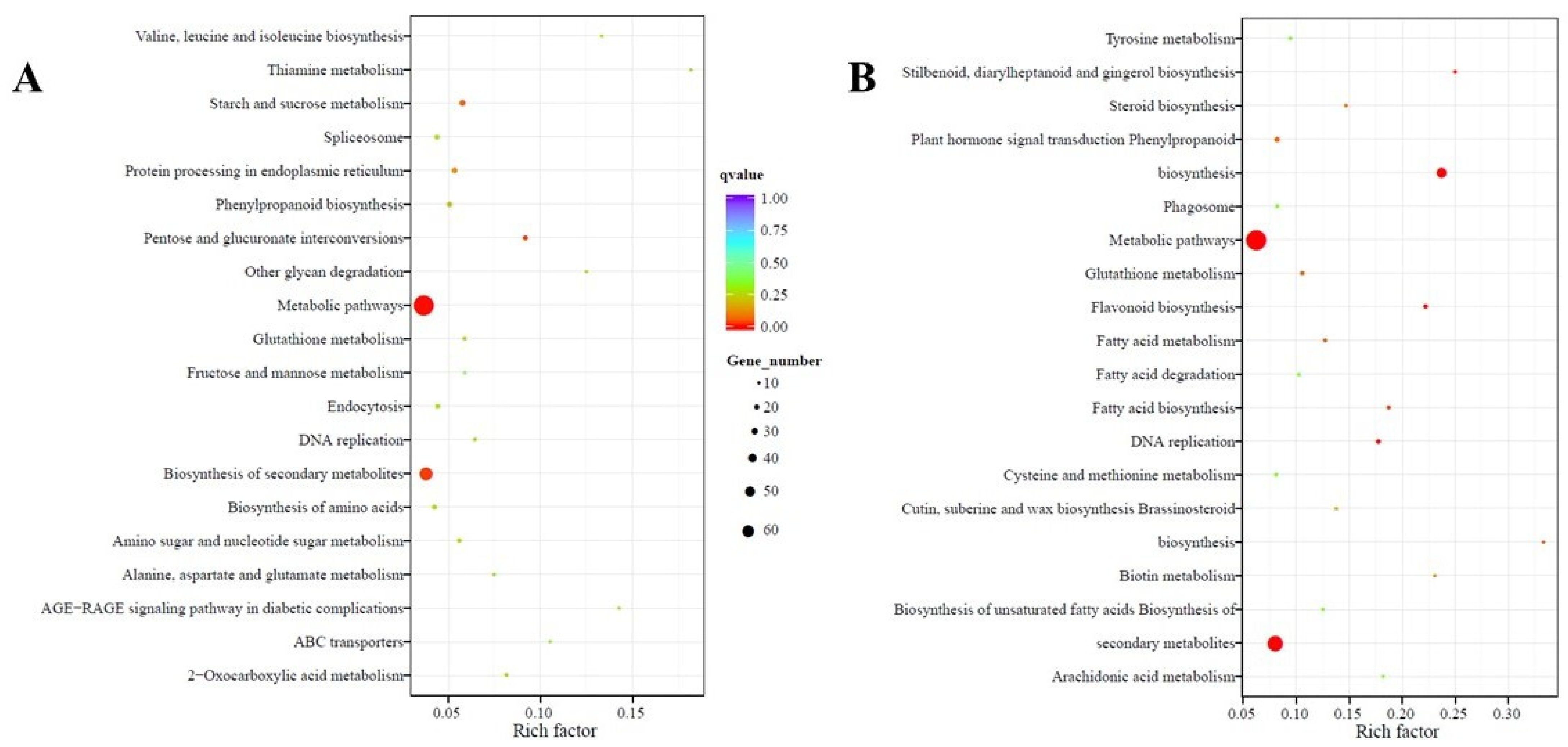 Ijms 22 05294 g006 Ijms 22 05294 g006