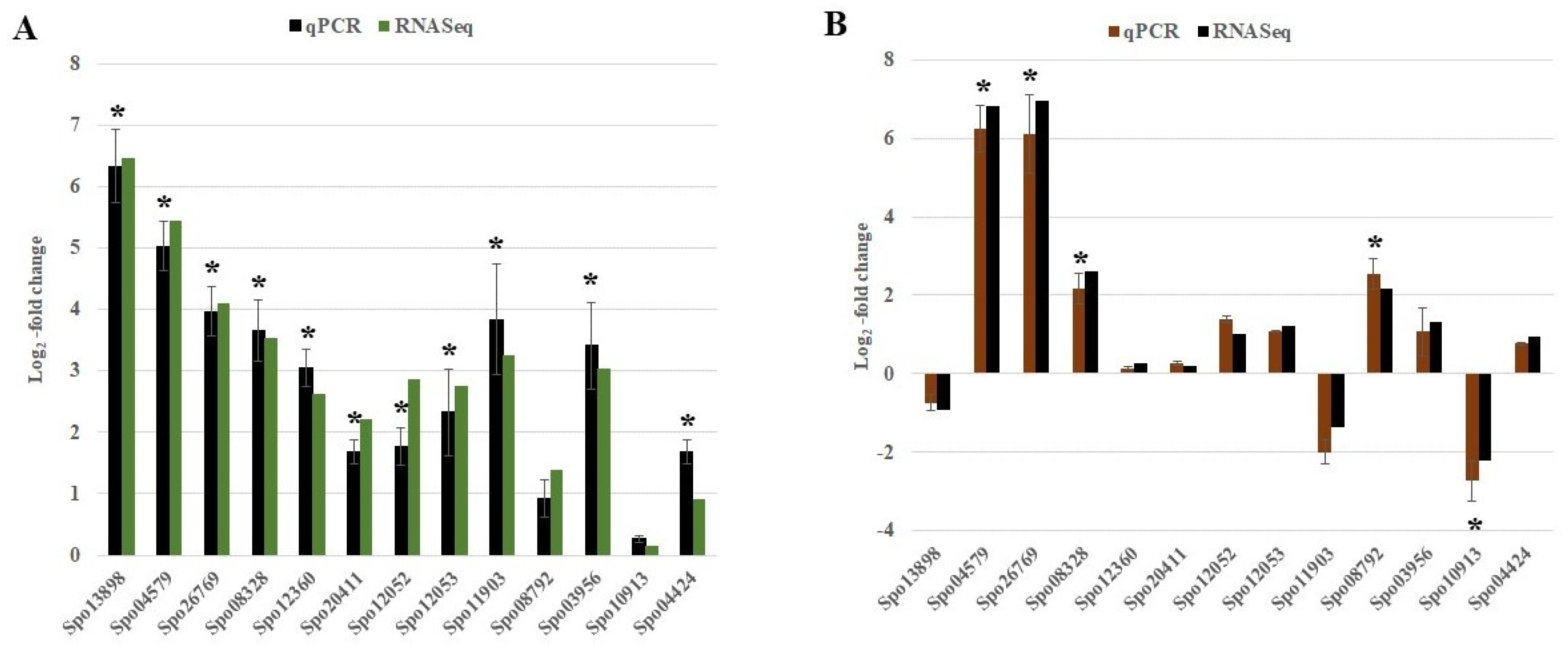 Ijms 22 05294 g007 Ijms 22 05294 g007
