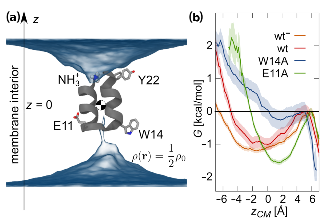 Ijms 22 05301 g002 Ijms 22 05301 g002