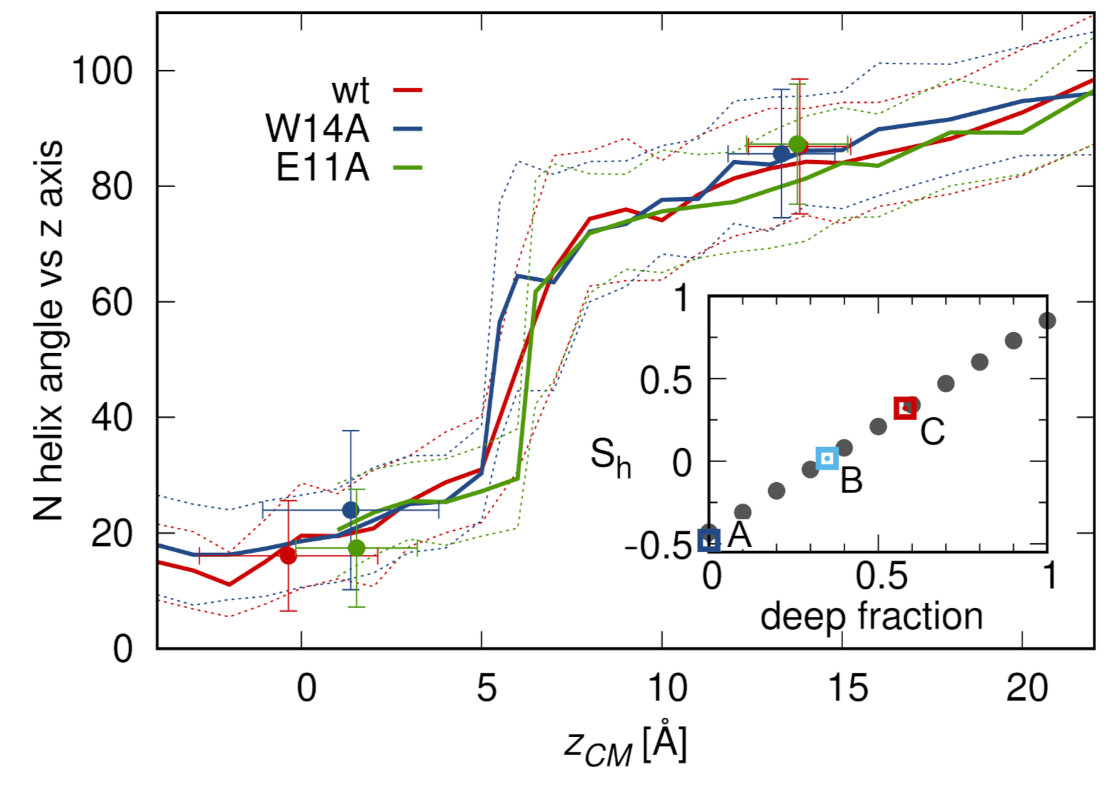 Ijms 22 05301 g004 Ijms 22 05301 g004