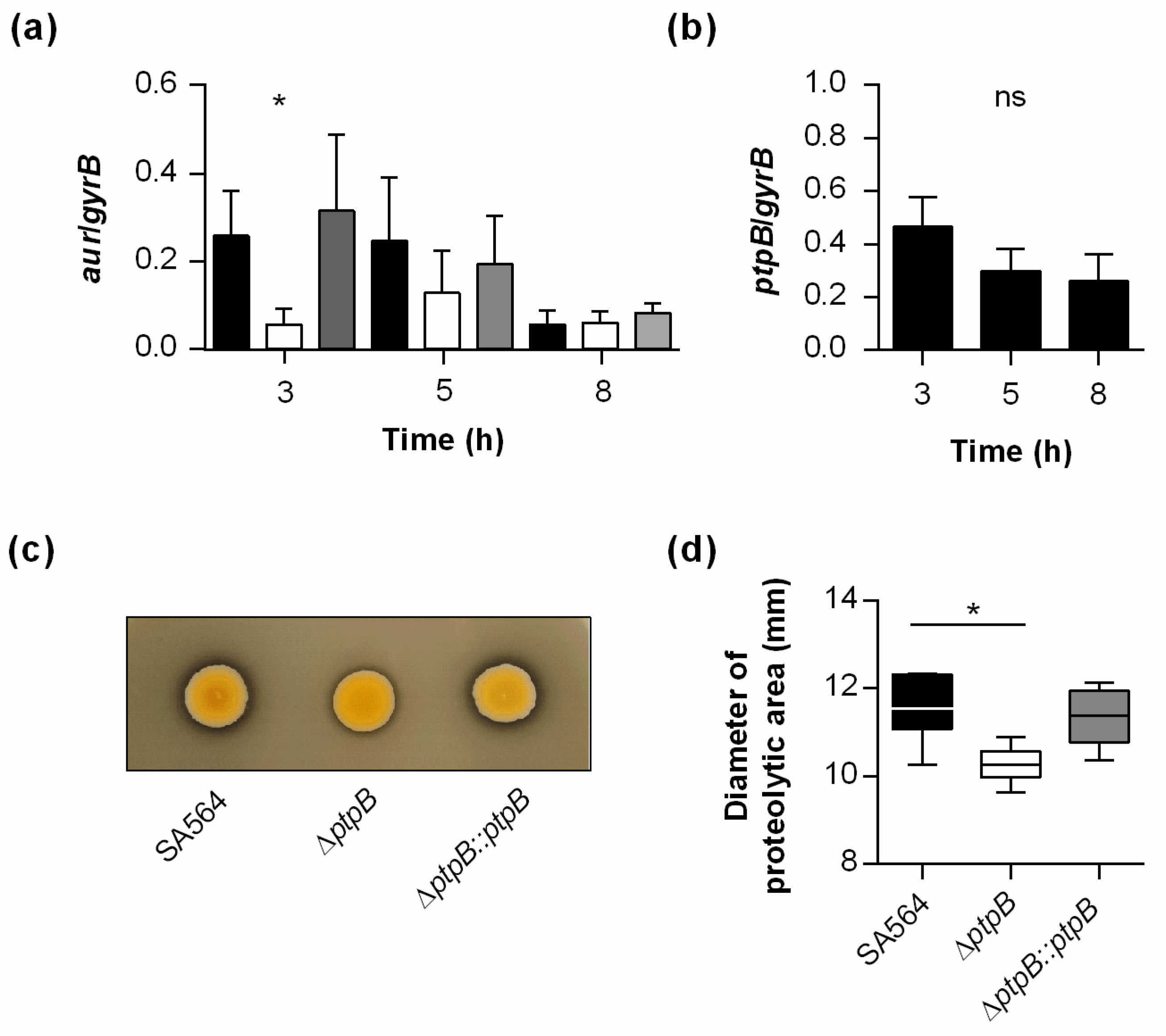 Ijms 22 05342 g003 Ijms 22 05342 g003