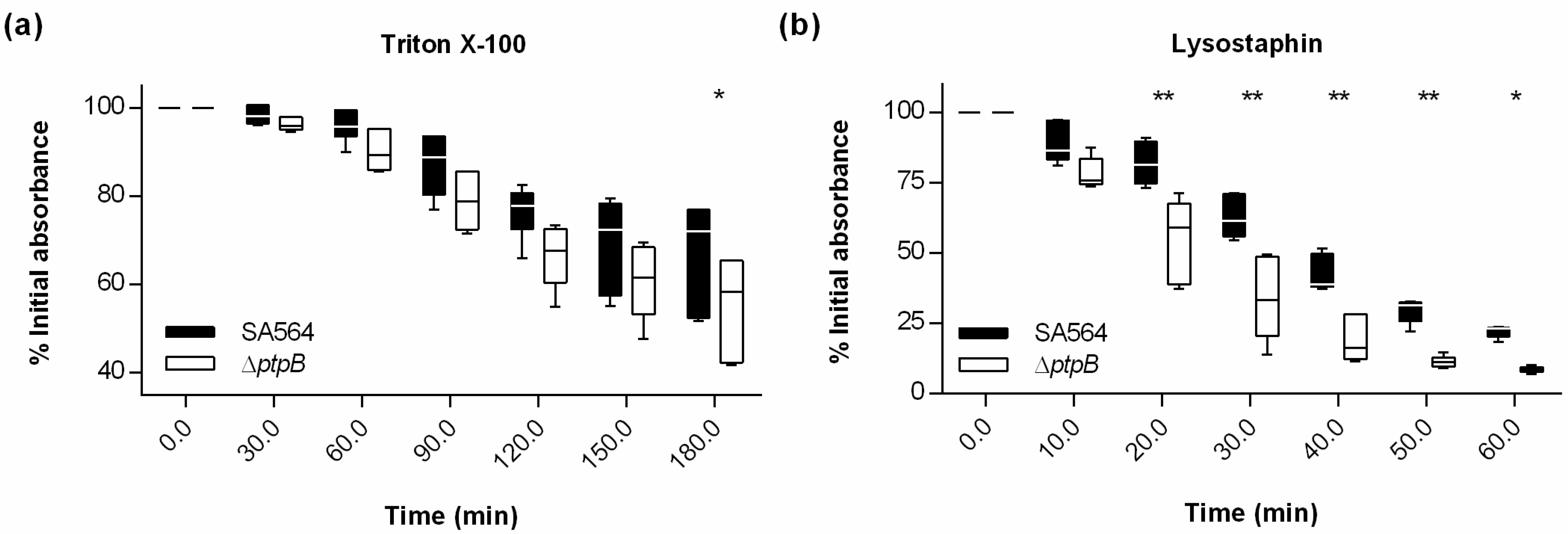 Ijms 22 05342 g004 Ijms 22 05342 g004