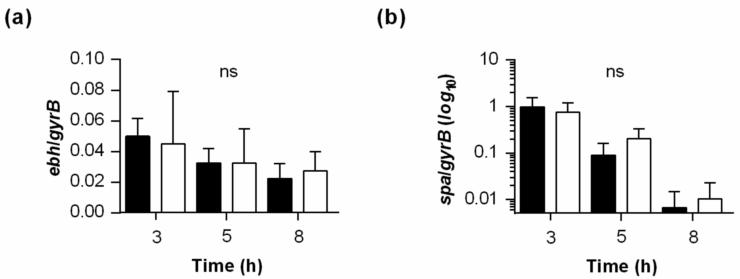 Ijms 22 05342 g006 Ijms 22 05342 g006