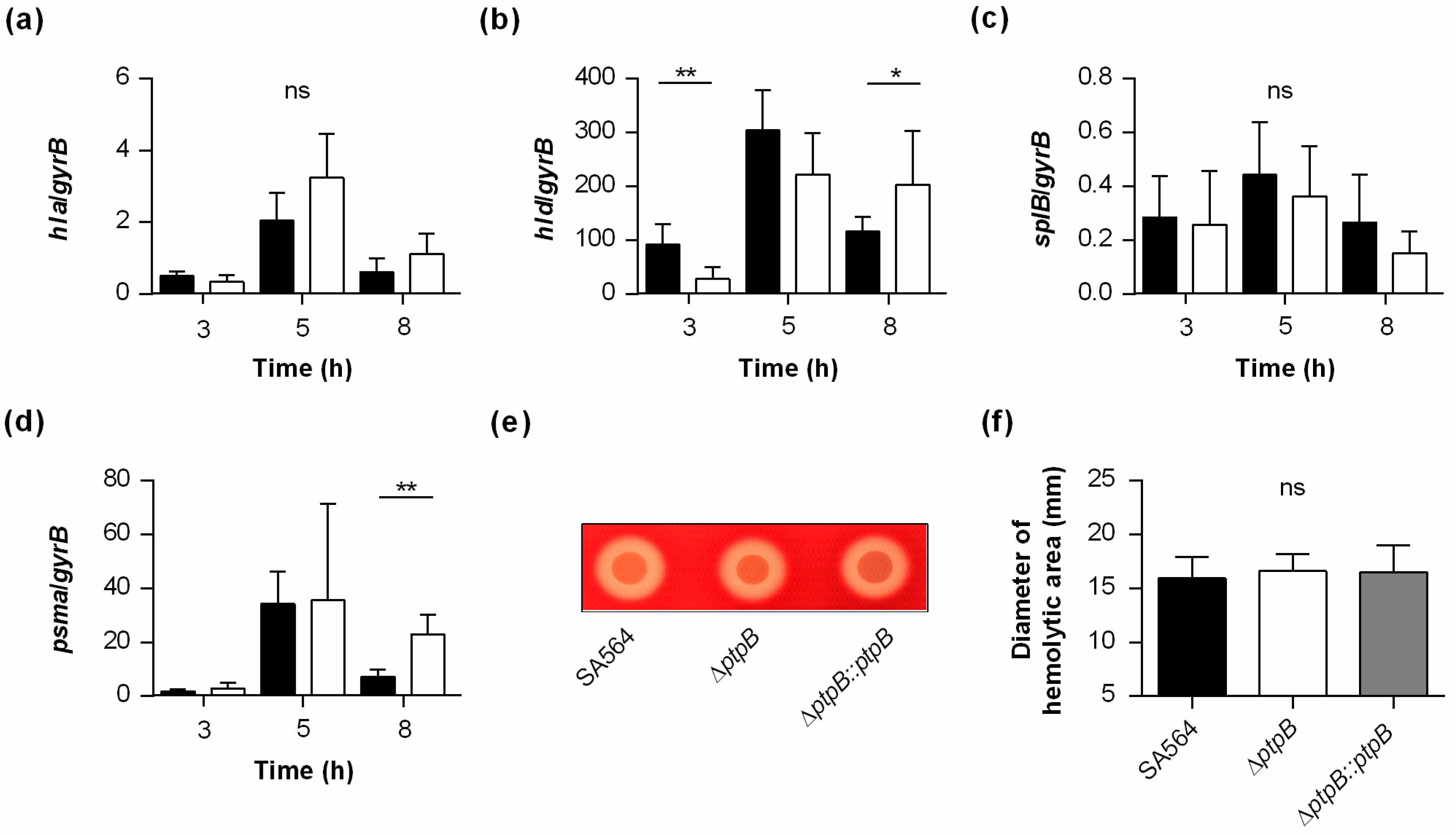 Ijms 22 05342 g007 Ijms 22 05342 g007