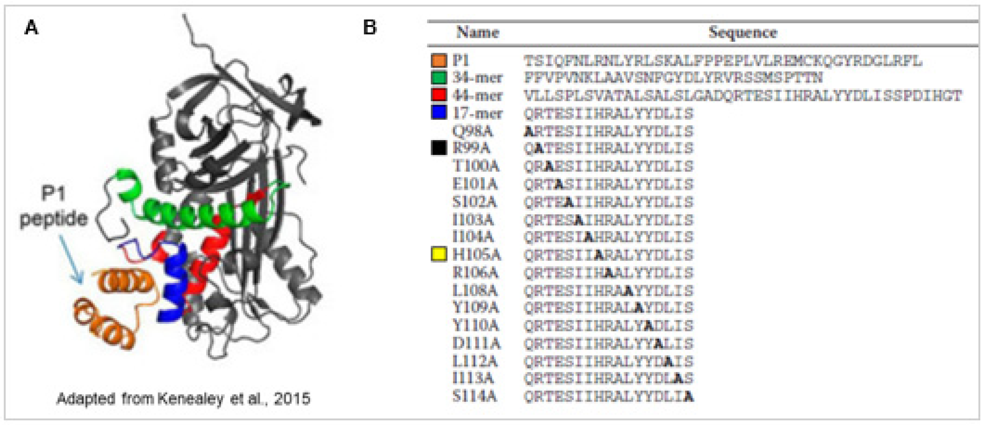 Ijms 22 05344 g001 Ijms 22 05344 g001