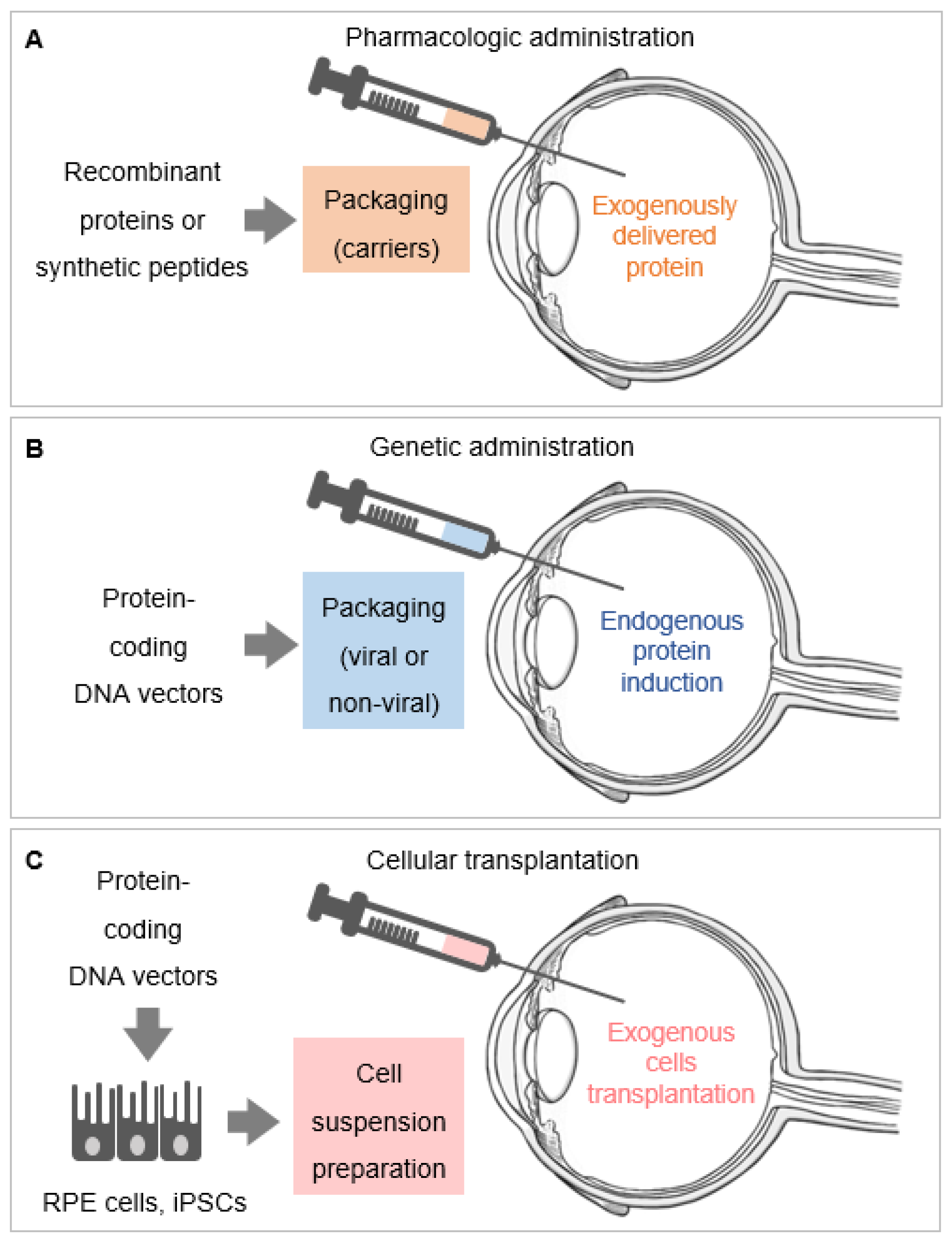 Ijms 22 05344 g002 Ijms 22 05344 g002