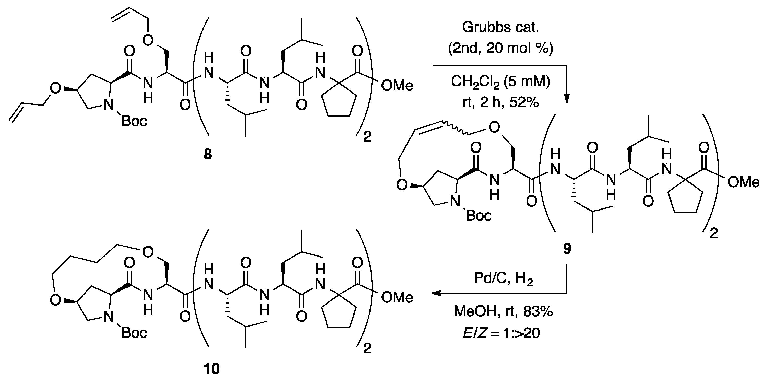 Ijms 22 05364 sch002 Ijms 22 05364 sch002
