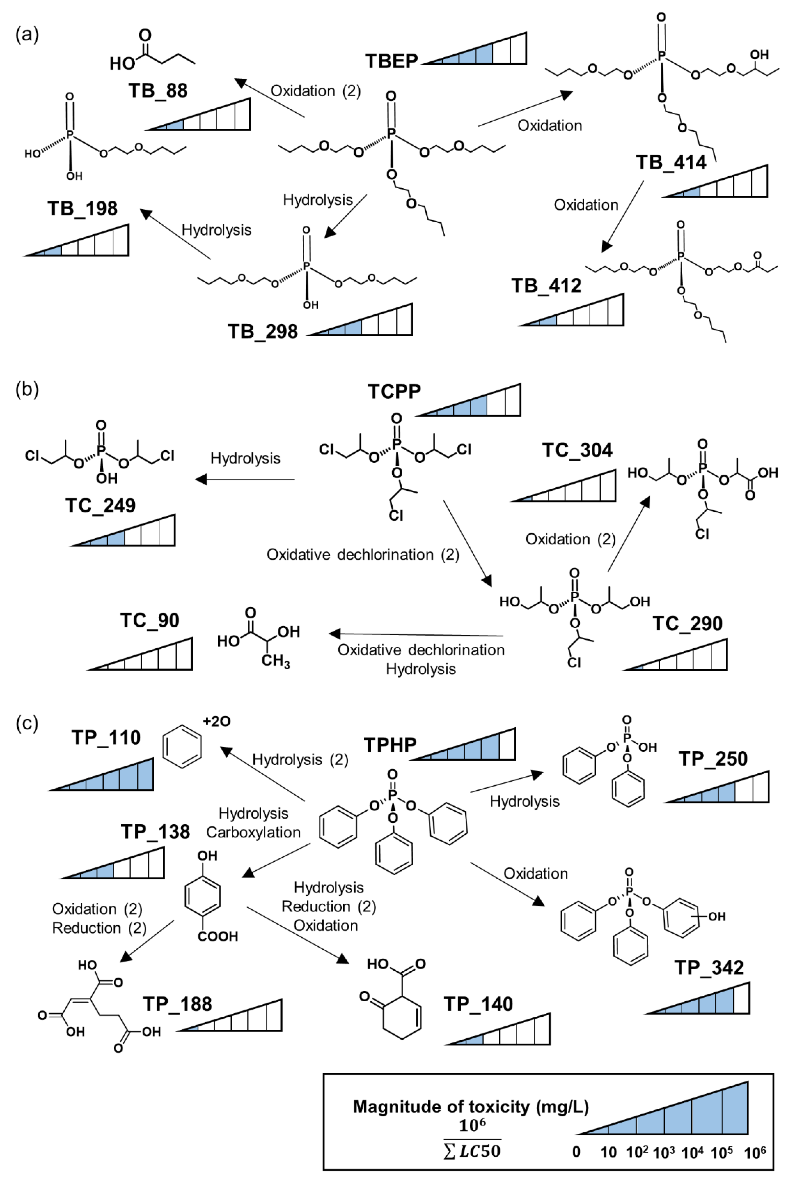 Ijms 22 05376 g005 Ijms 22 05376 g005