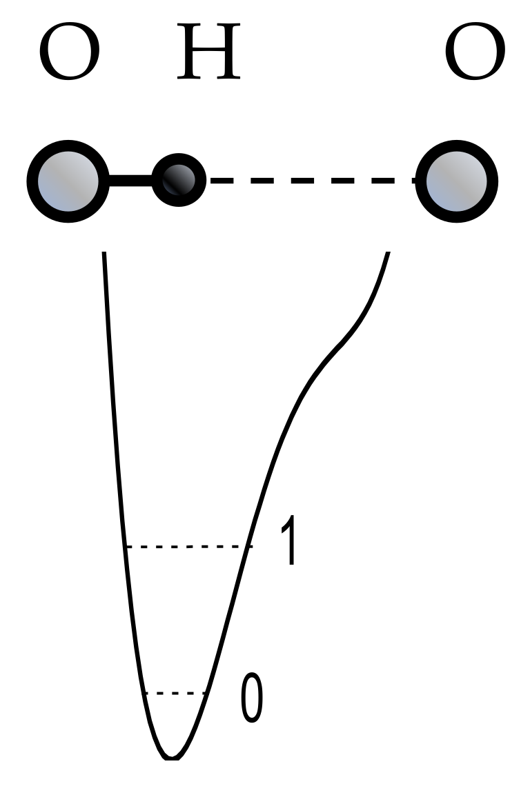 Ijms 22 05380 g001 Ijms 22 05380 g001