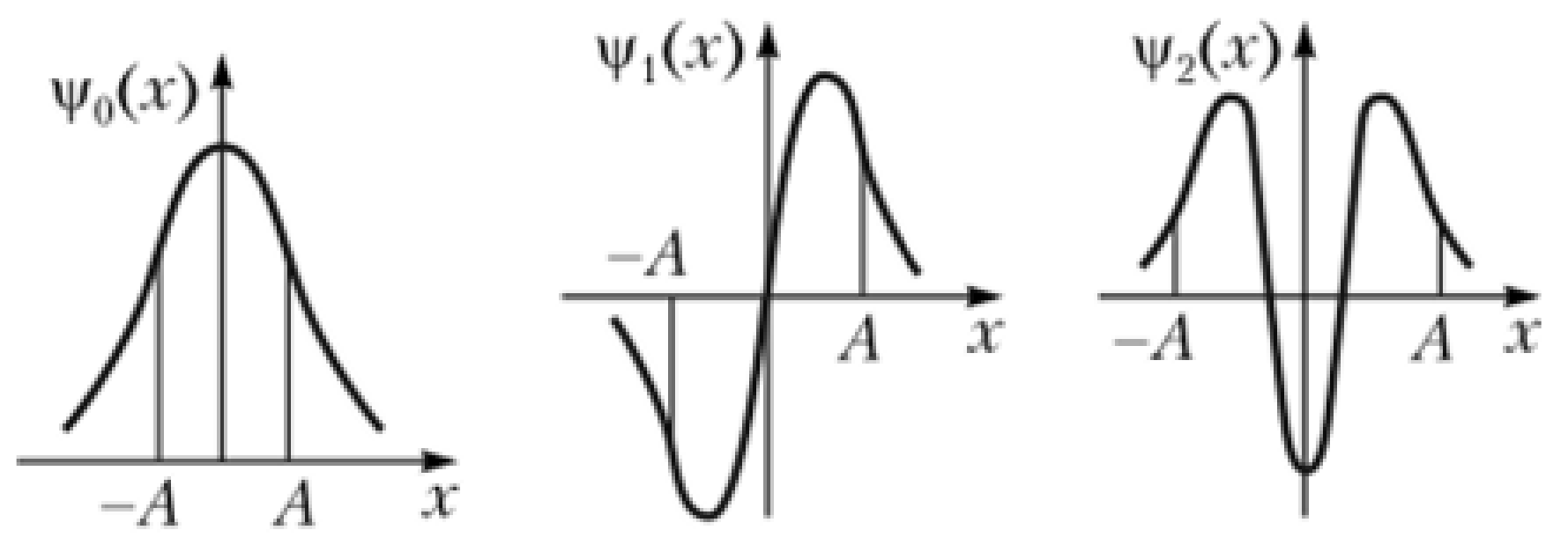 Ijms 22 05380 g007 Ijms 22 05380 g007