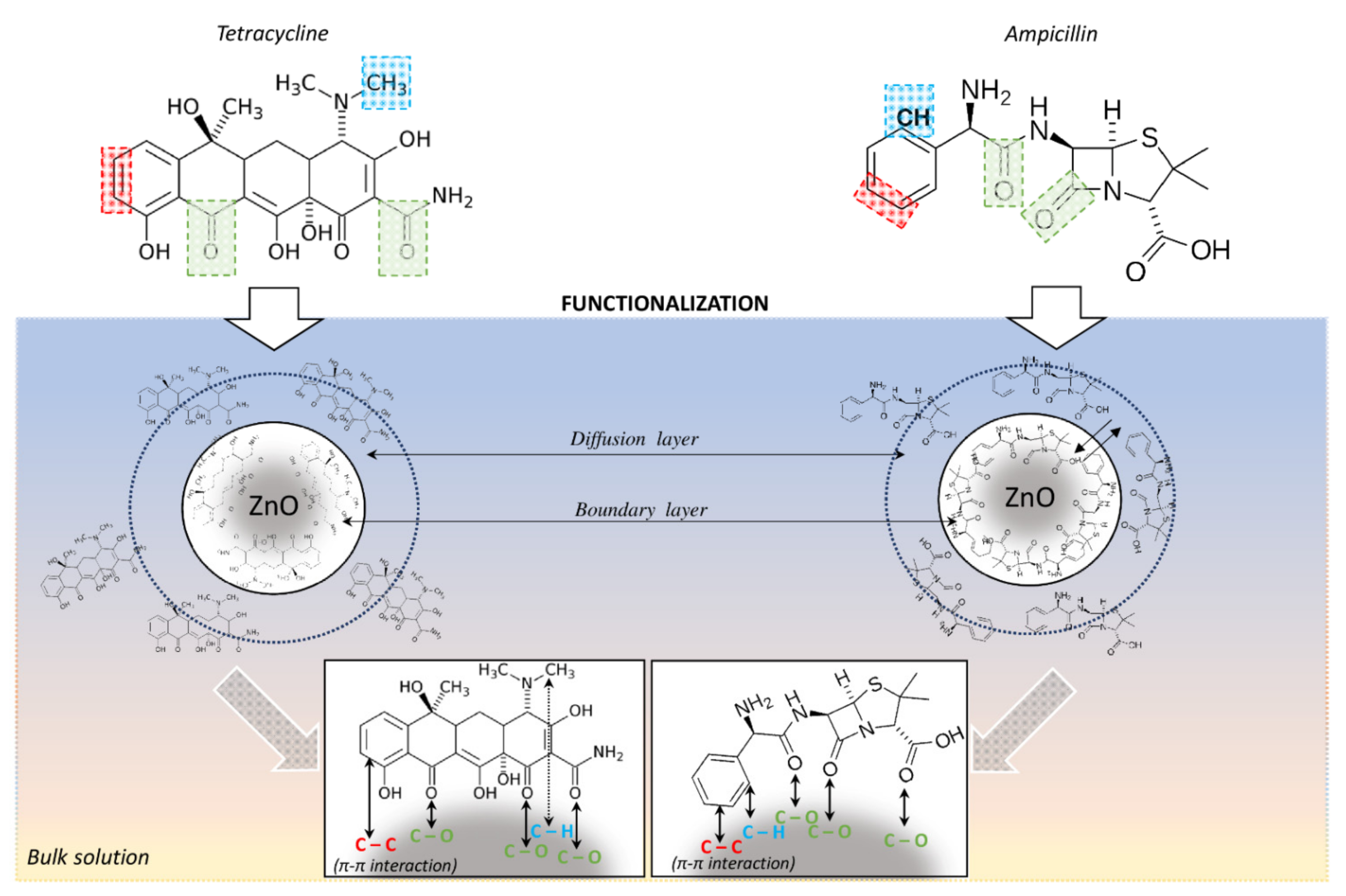 Ijms 22 05395 g005 Ijms 22 05395 g005