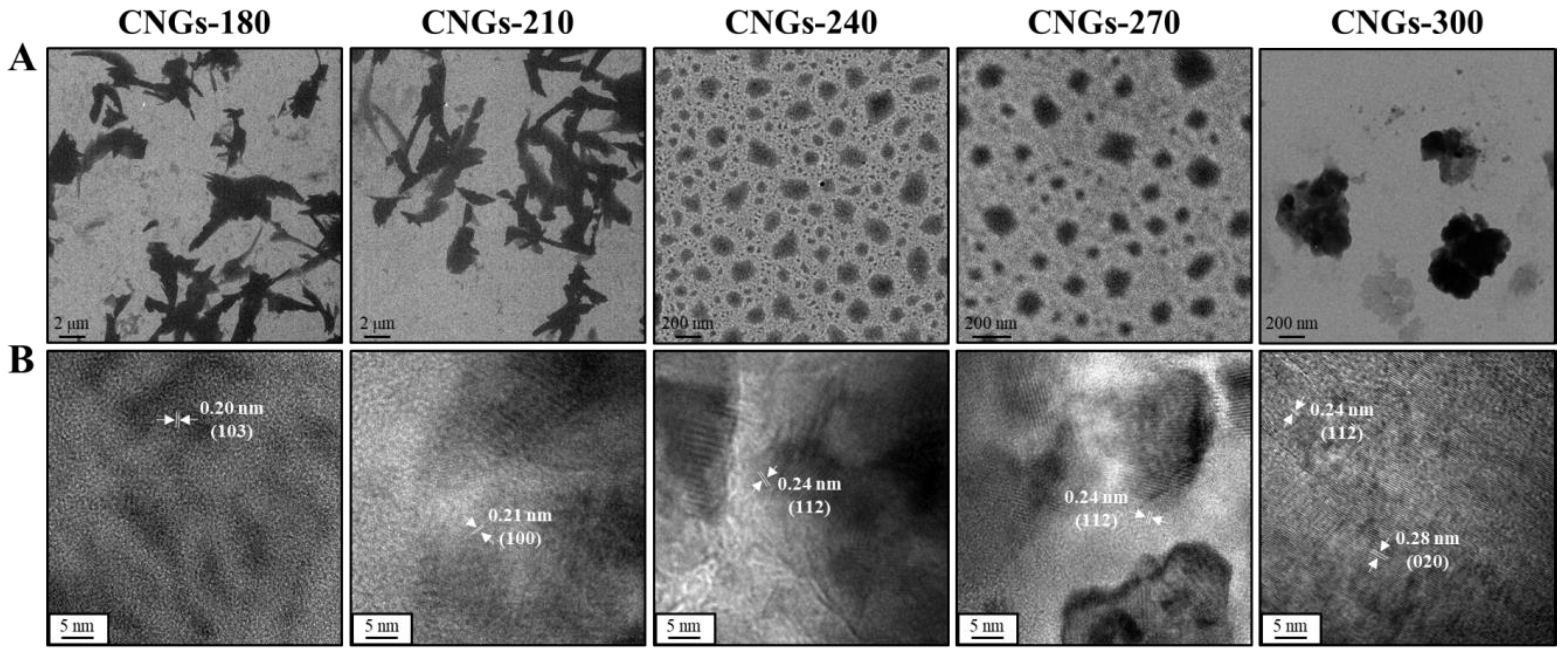 Ijms 22 05415 g001 Ijms 22 05415 g001