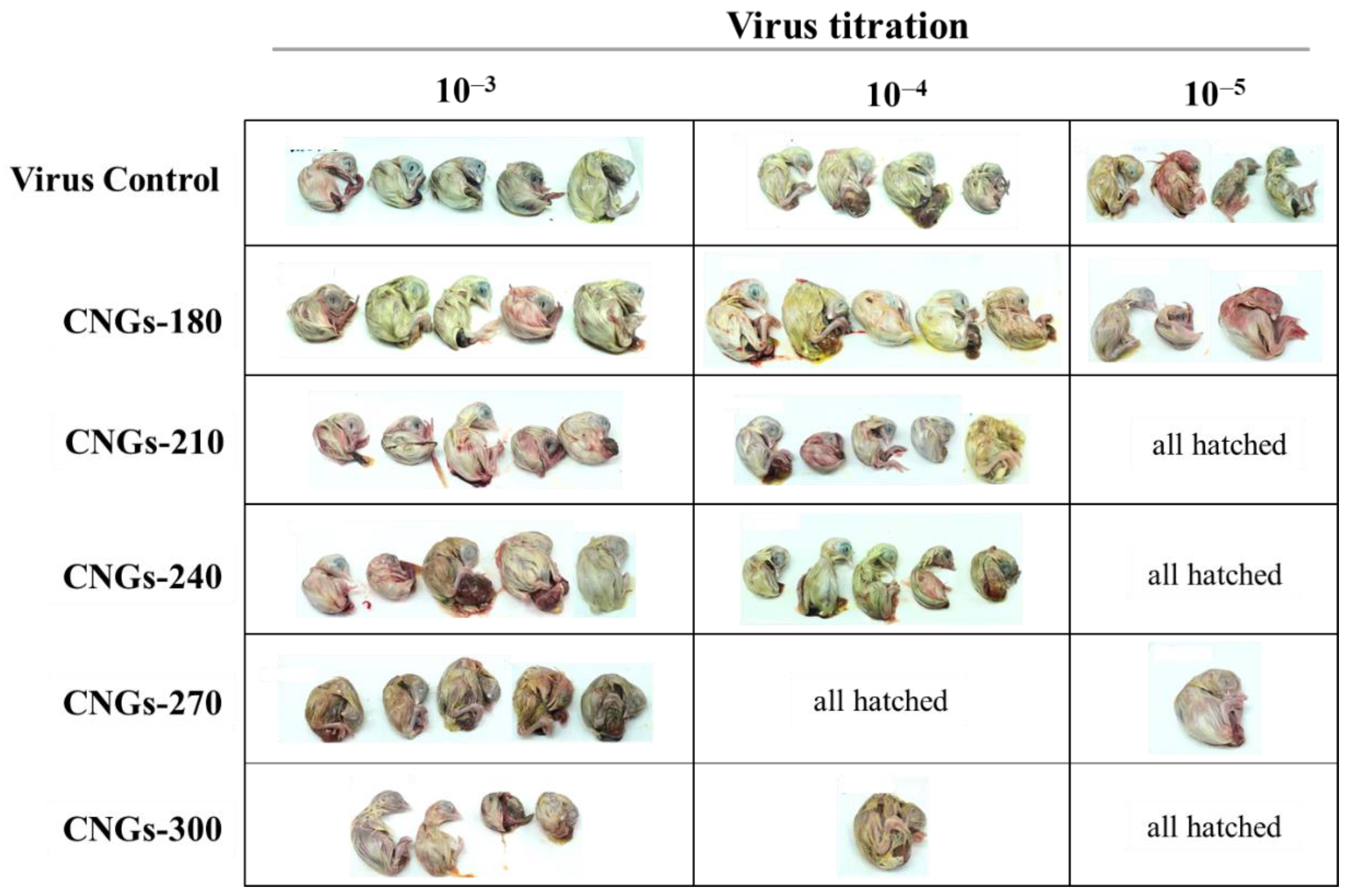 Ijms 22 05415 g003 Ijms 22 05415 g003