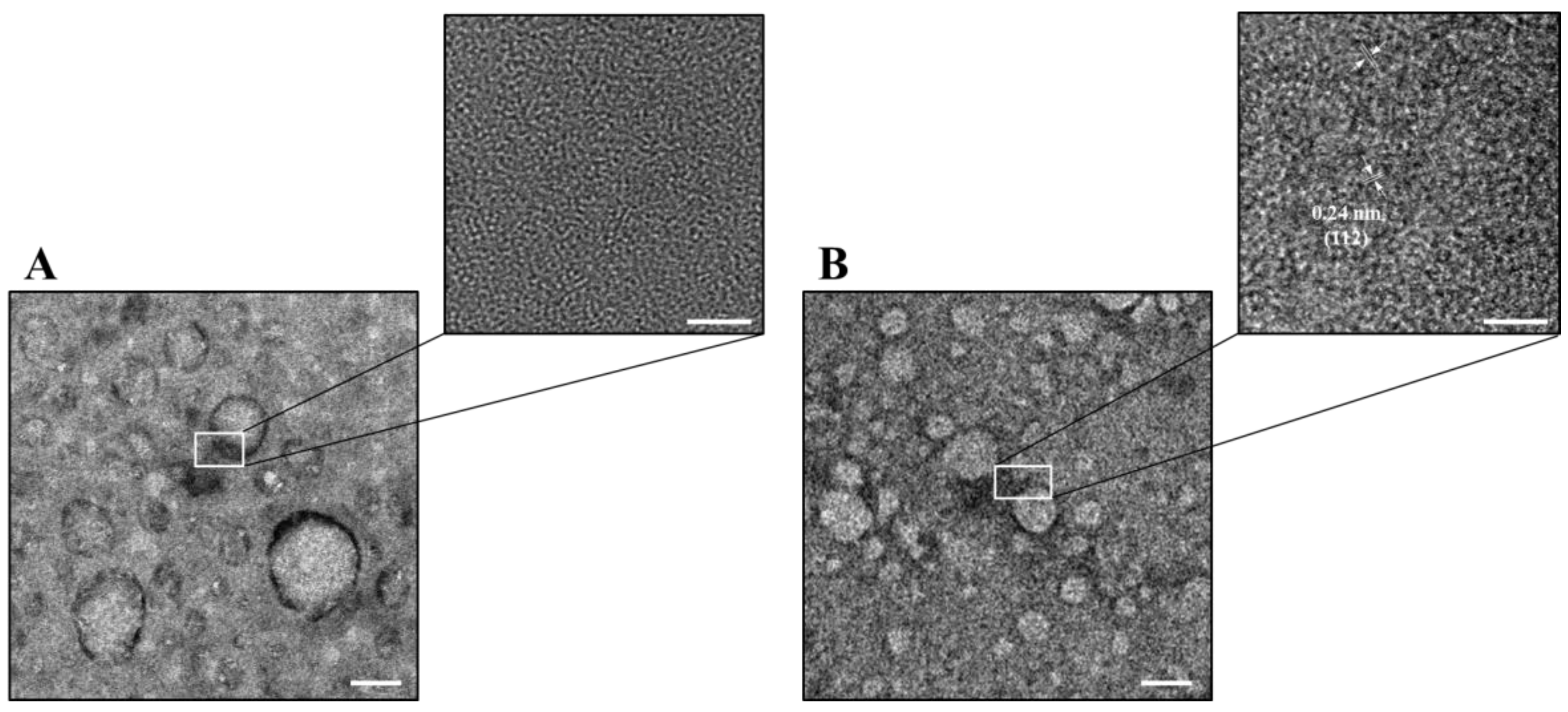 Ijms 22 05415 g004 Ijms 22 05415 g004