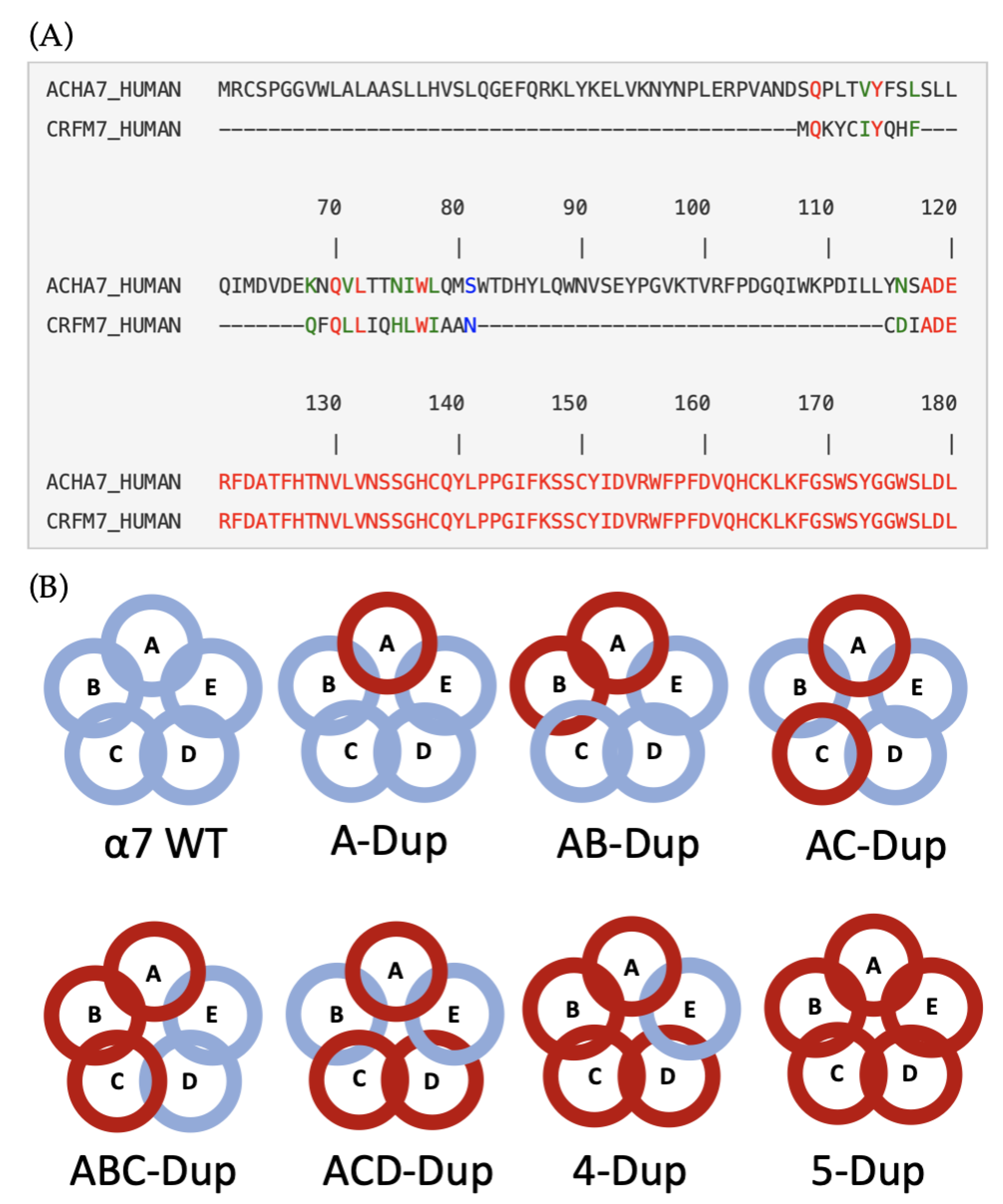 Ijms 22 05466 g008 Ijms 22 05466 g008