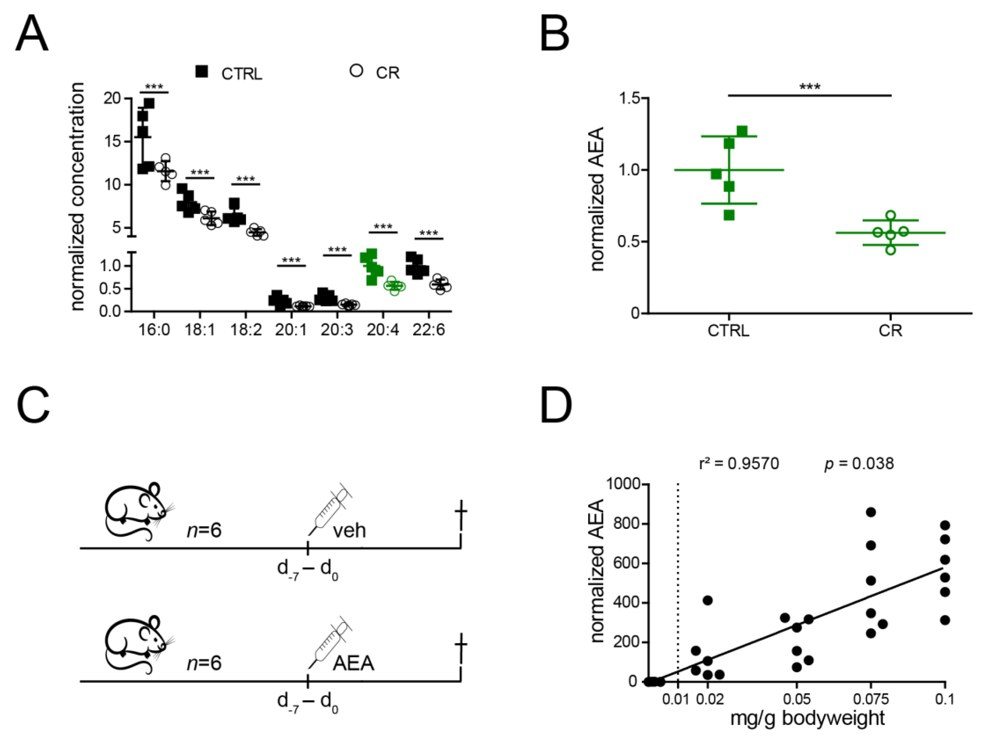 Ijms 22 05485 g001 Ijms 22 05485 g001