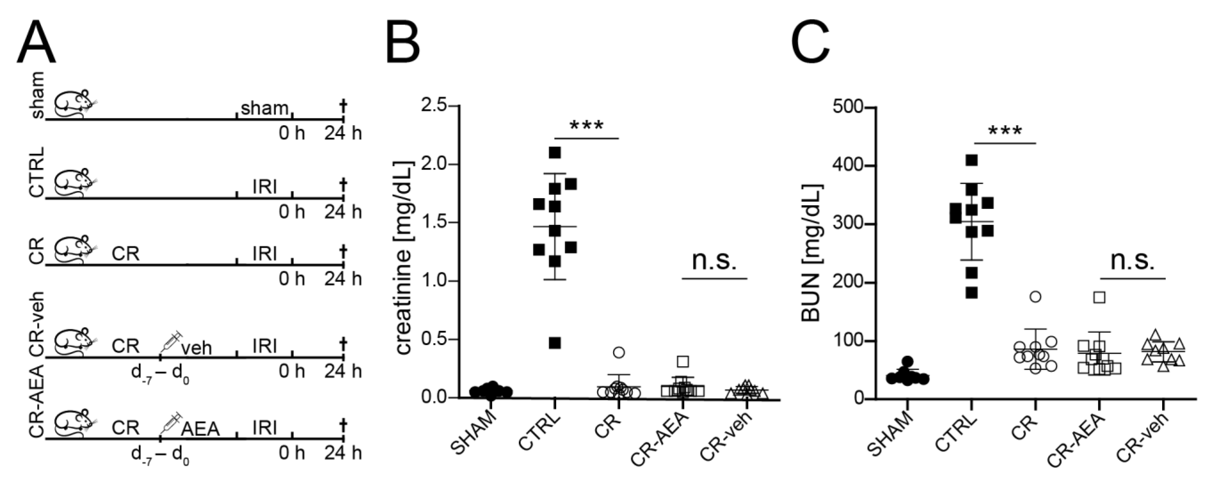 Ijms 22 05485 g002 Ijms 22 05485 g002