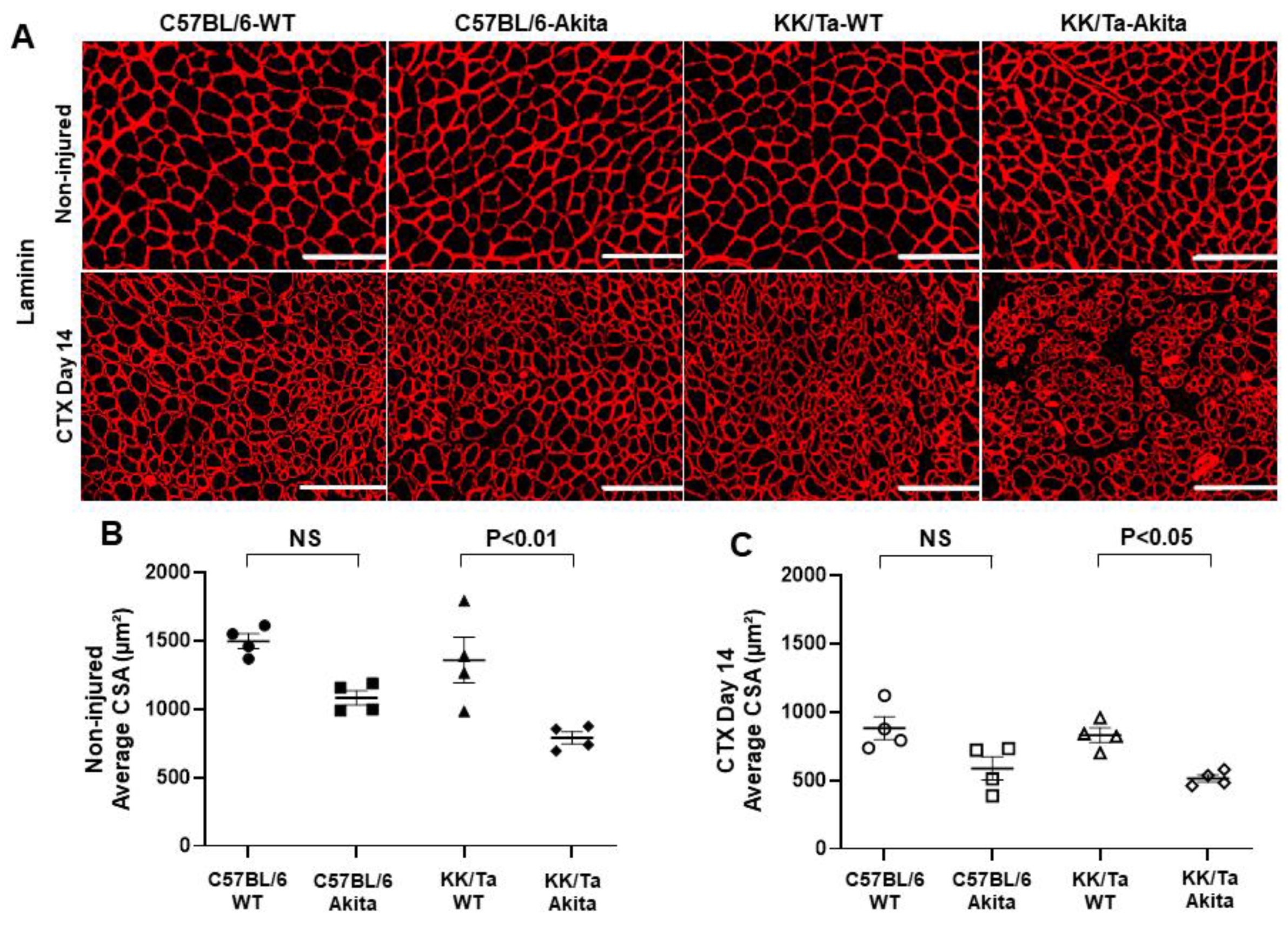 Ijms 22 05491 g003 Ijms 22 05491 g003