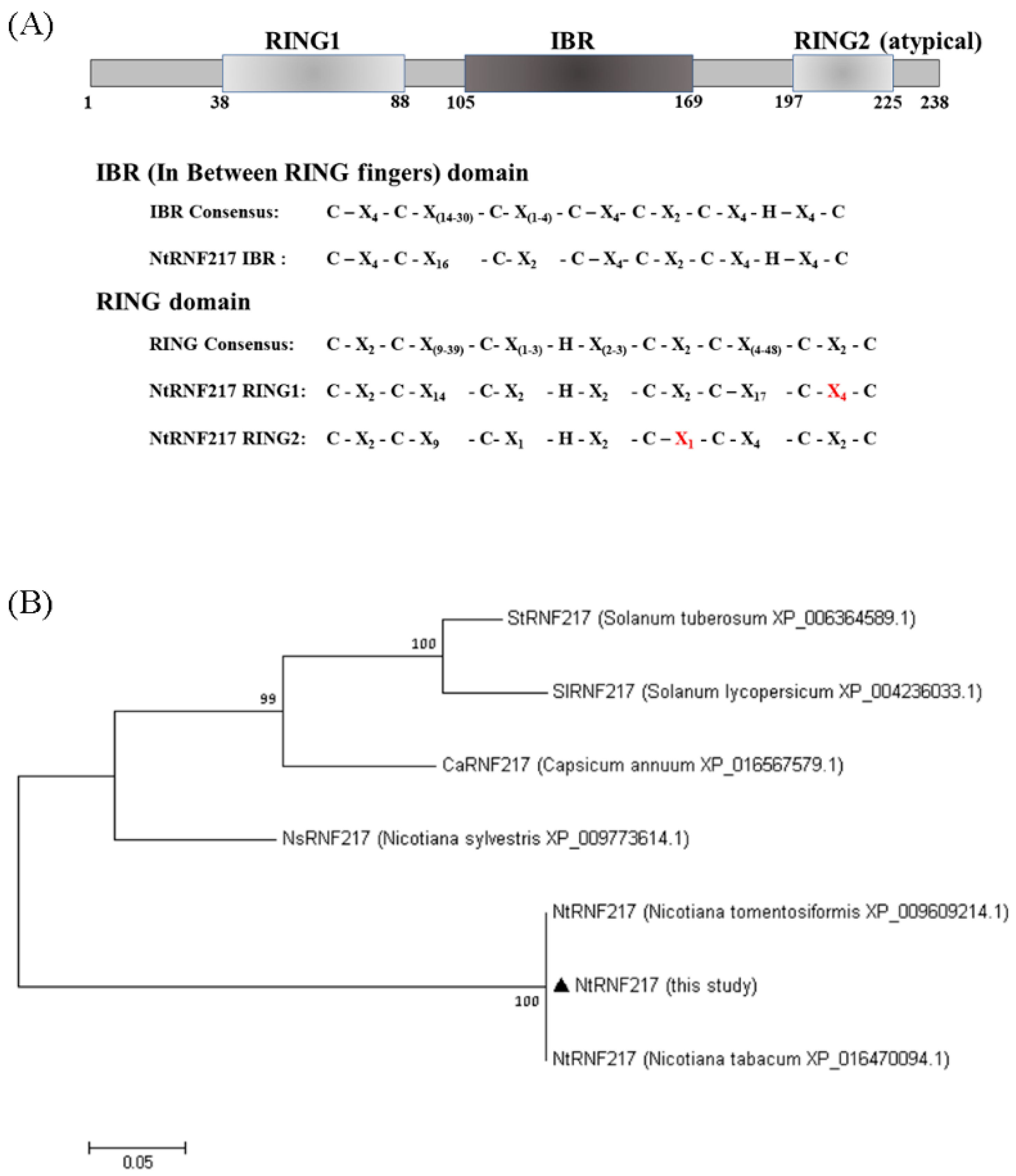 Ijms 22 05507 g001 Ijms 22 05507 g001