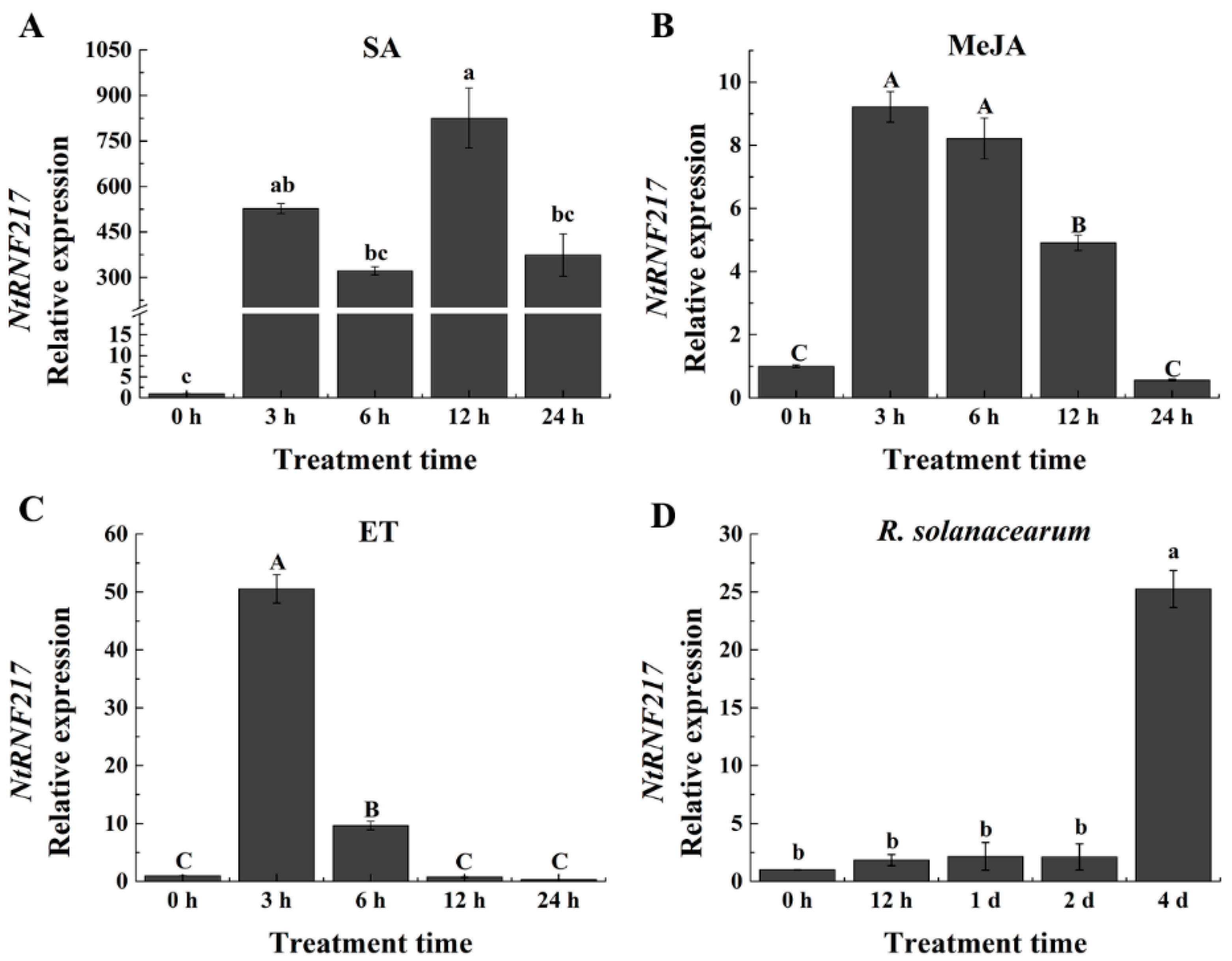Ijms 22 05507 g002 Ijms 22 05507 g002