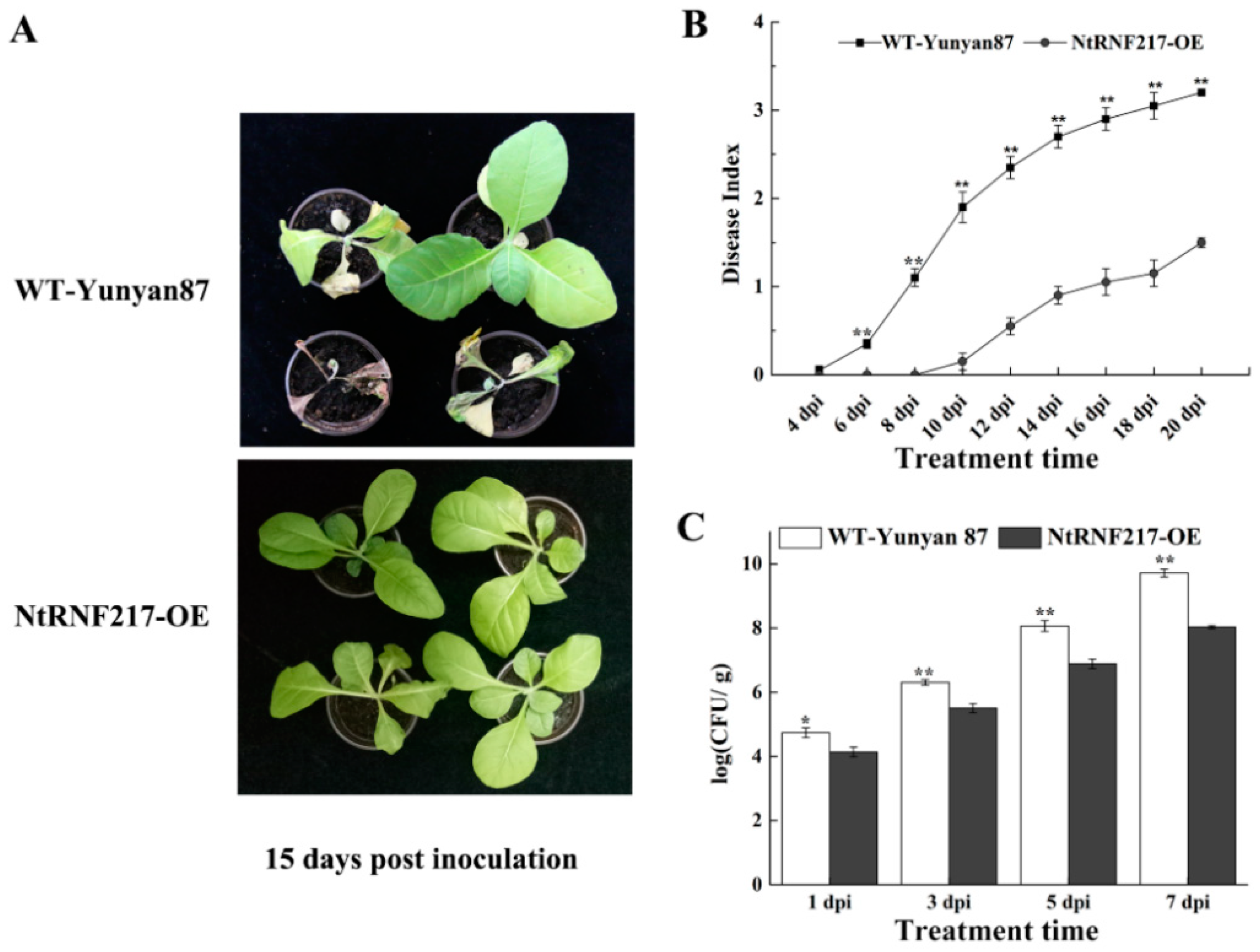 Ijms 22 05507 g004 Ijms 22 05507 g004