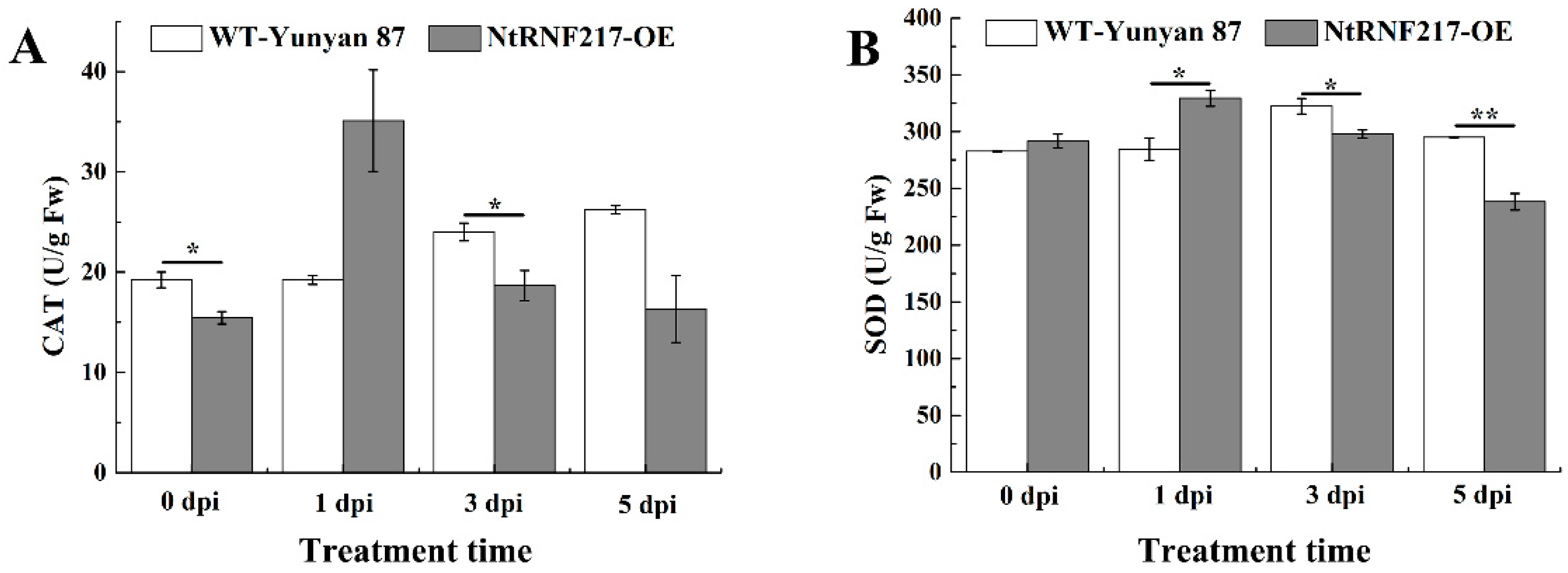 Ijms 22 05507 g006 Ijms 22 05507 g006