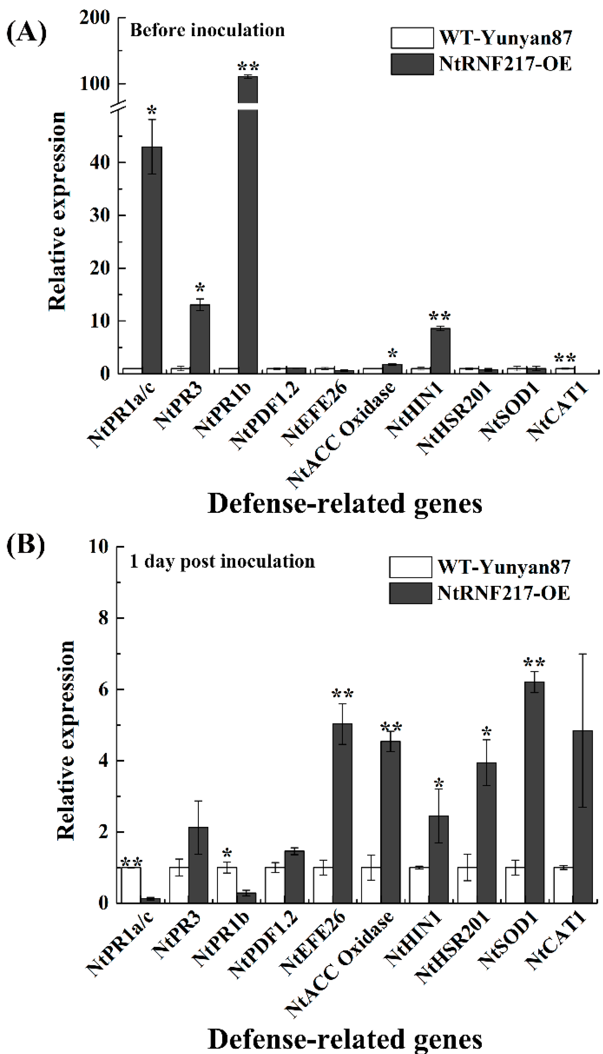 Ijms 22 05507 g007 Ijms 22 05507 g007