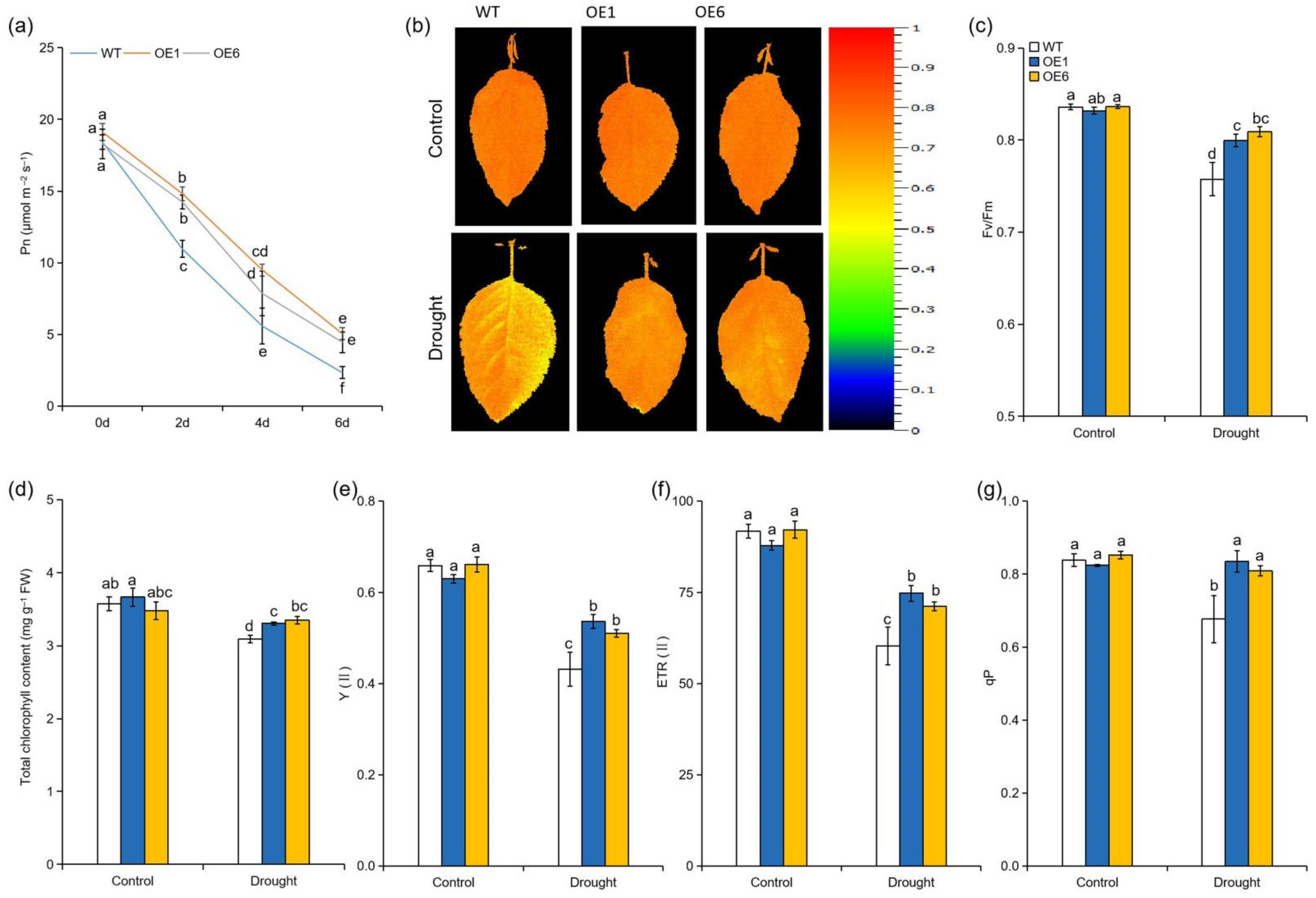 Ijms 22 05517 g002 Ijms 22 05517 g002