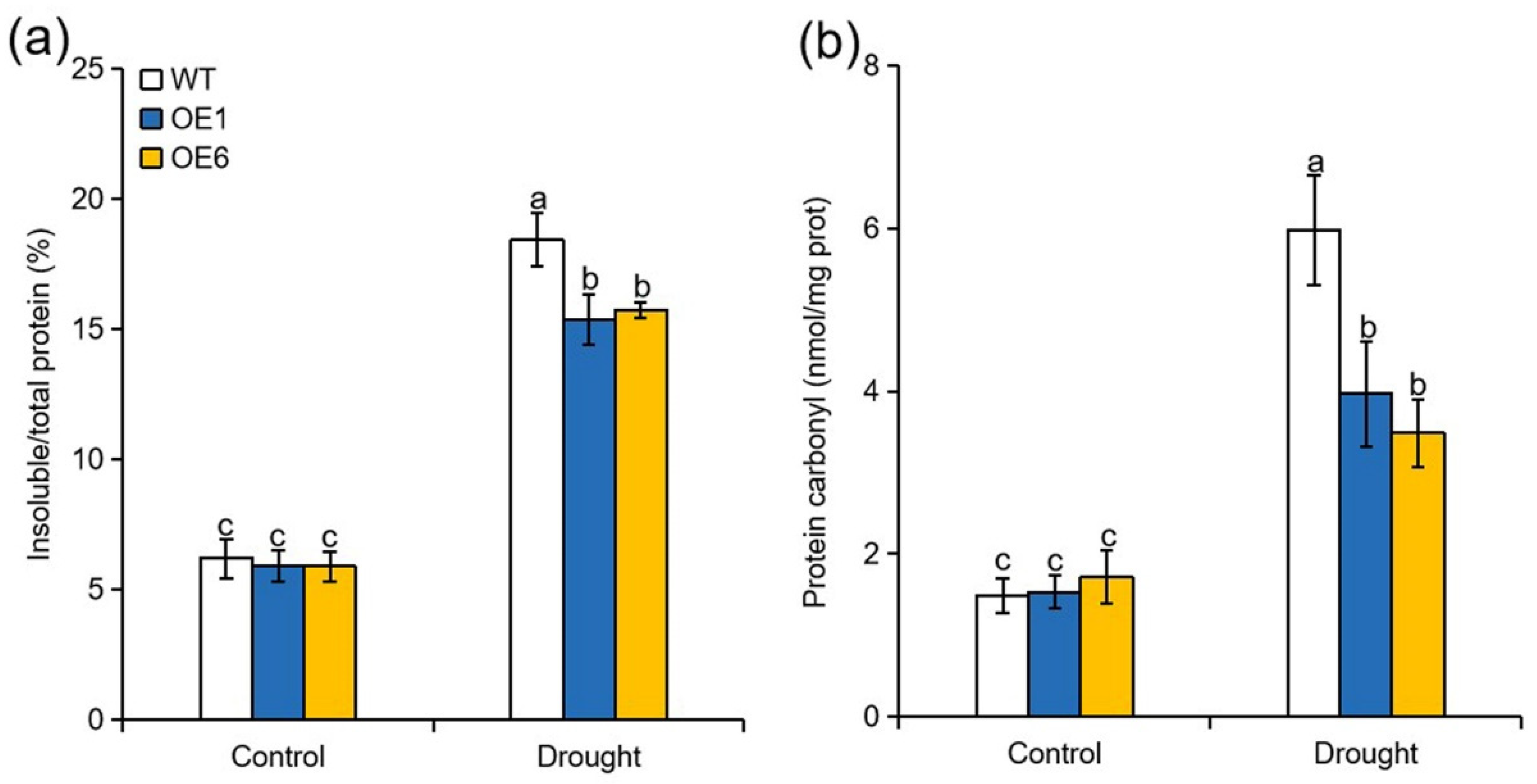 Ijms 22 05517 g004 Ijms 22 05517 g004