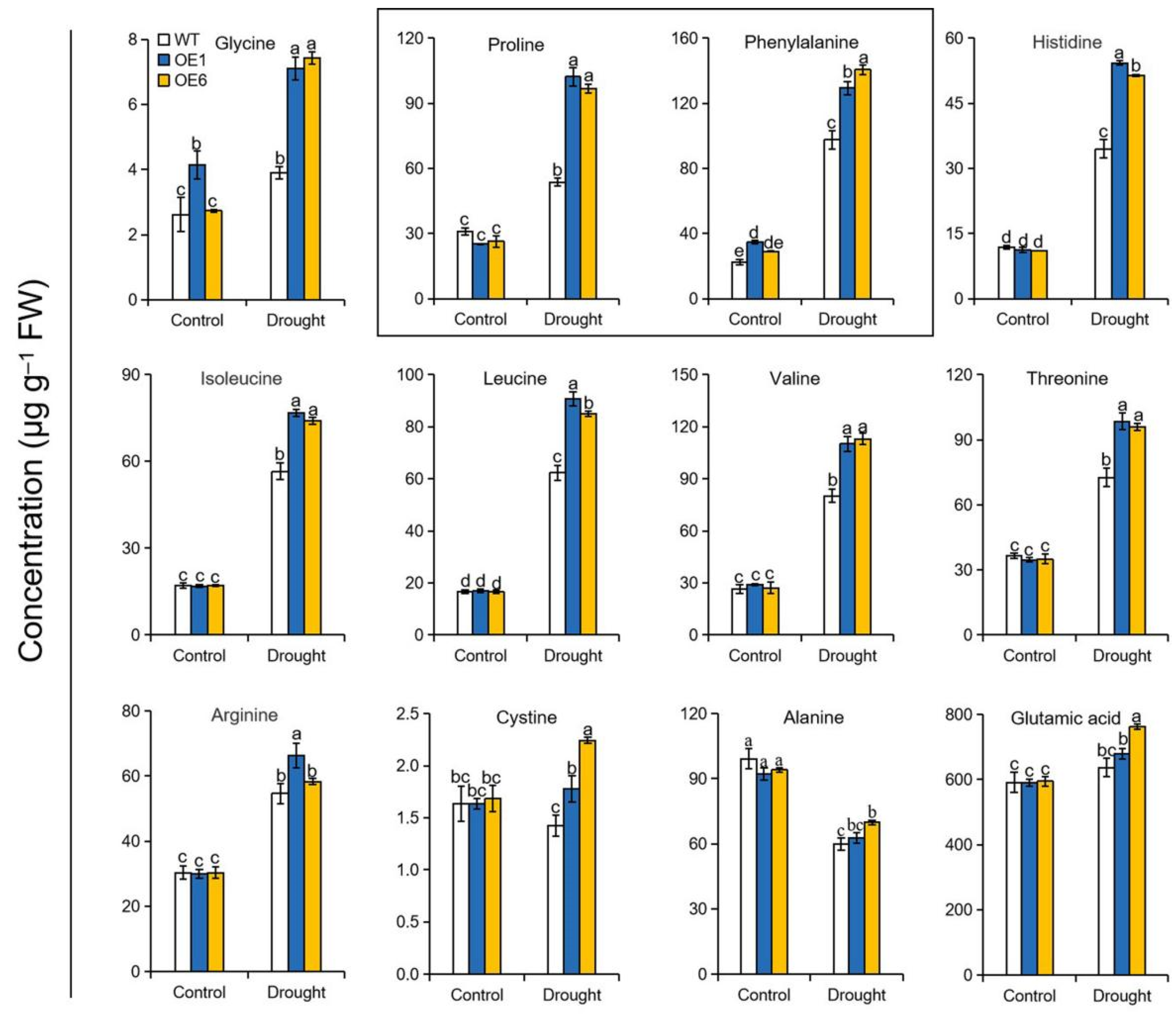 Ijms 22 05517 g005 Ijms 22 05517 g005