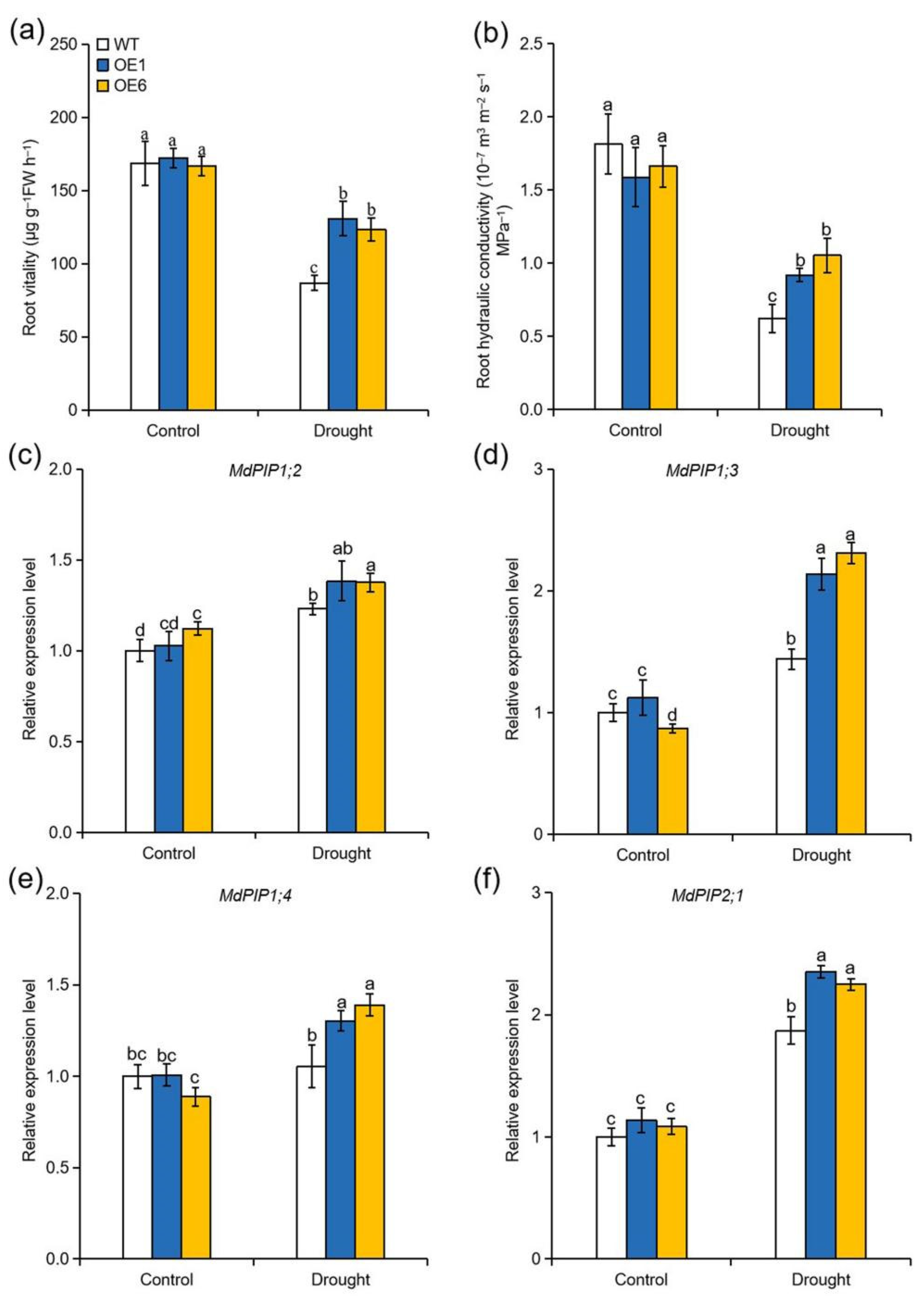 Ijms 22 05517 g007 Ijms 22 05517 g007
