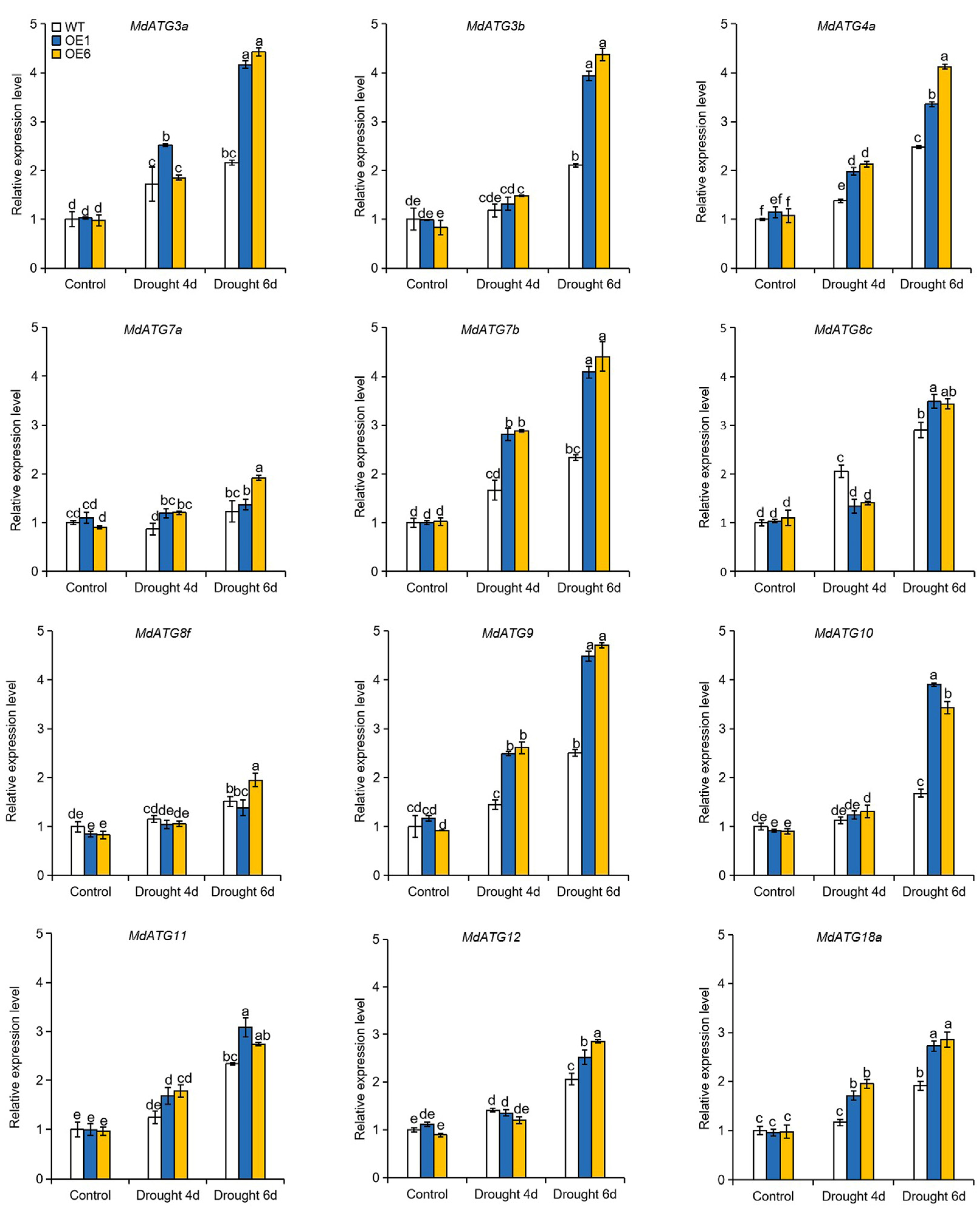 Ijms 22 05517 g008 Ijms 22 05517 g008