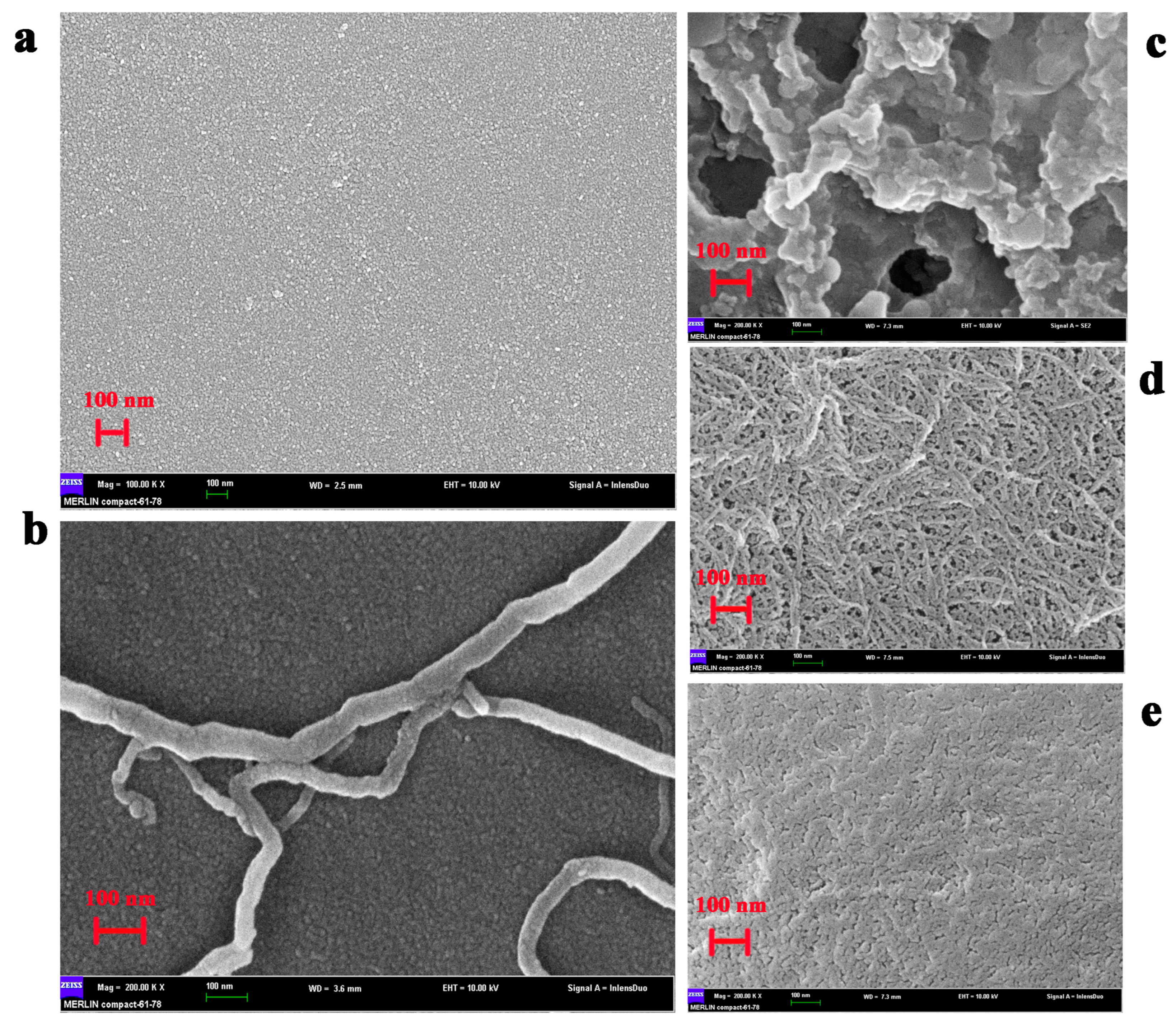 Ijms 22 05529 g003 Ijms 22 05529 g003