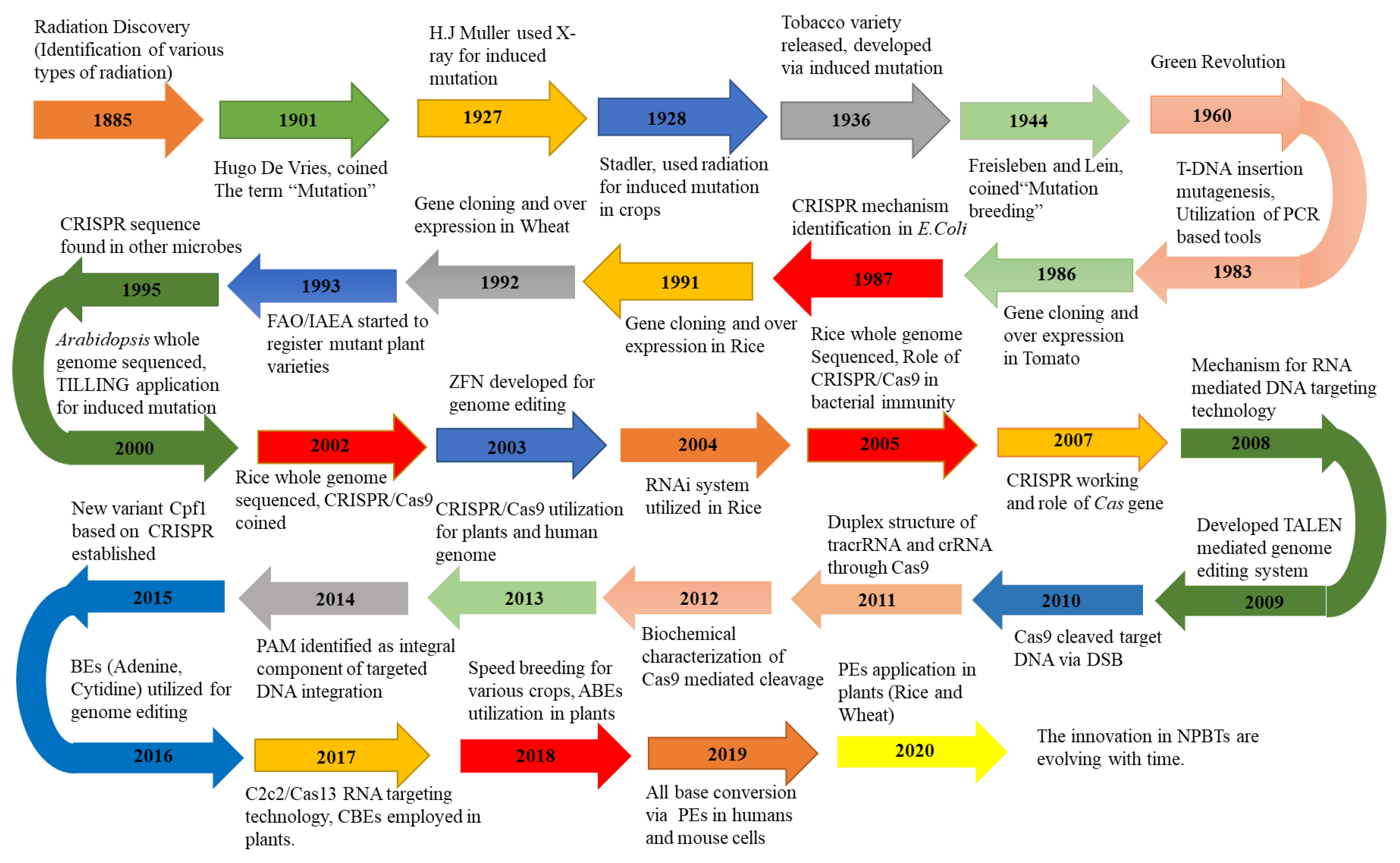 Ijms 22 05585 g001 Ijms 22 05585 g001