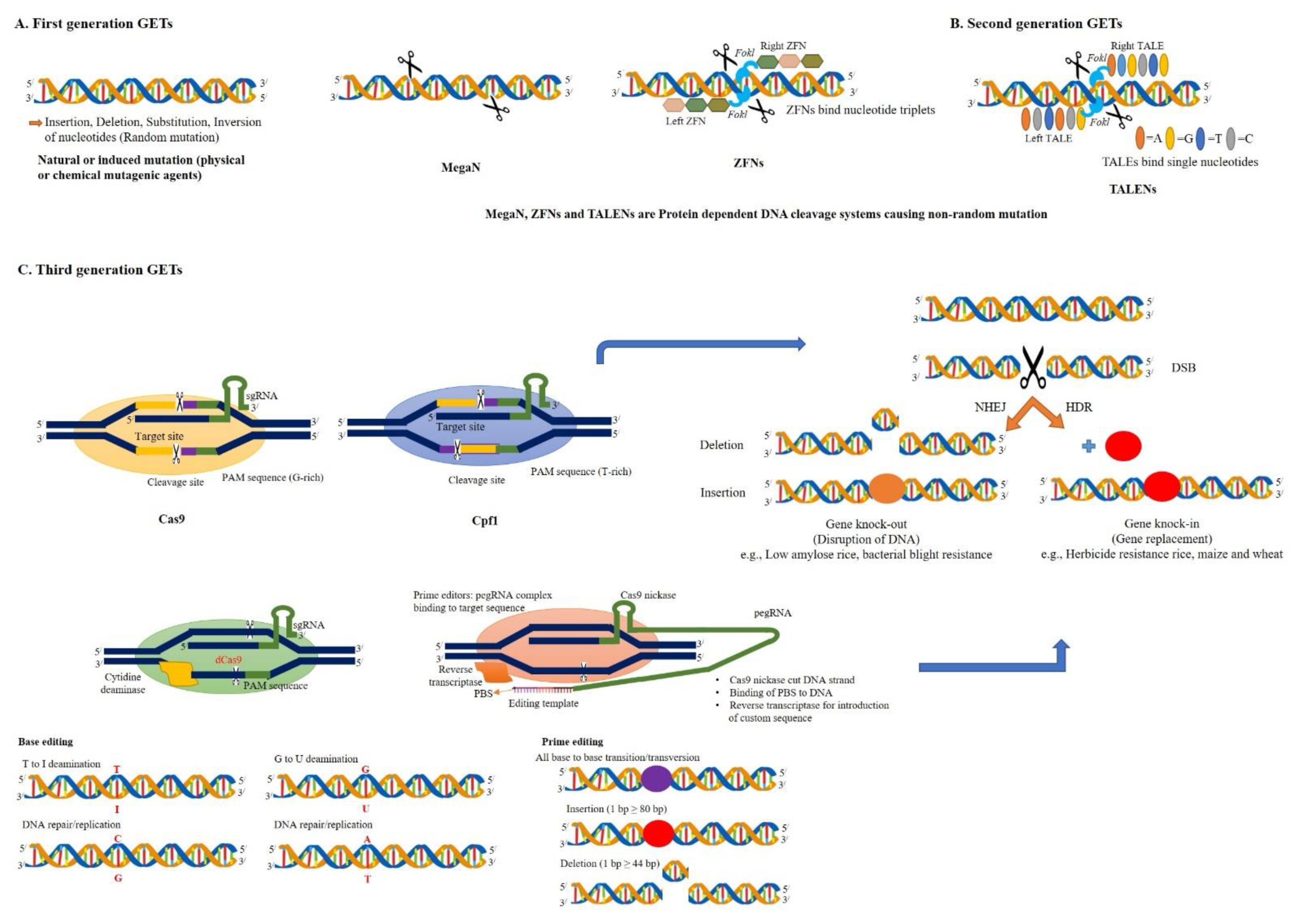Ijms 22 05585 g002 Ijms 22 05585 g002