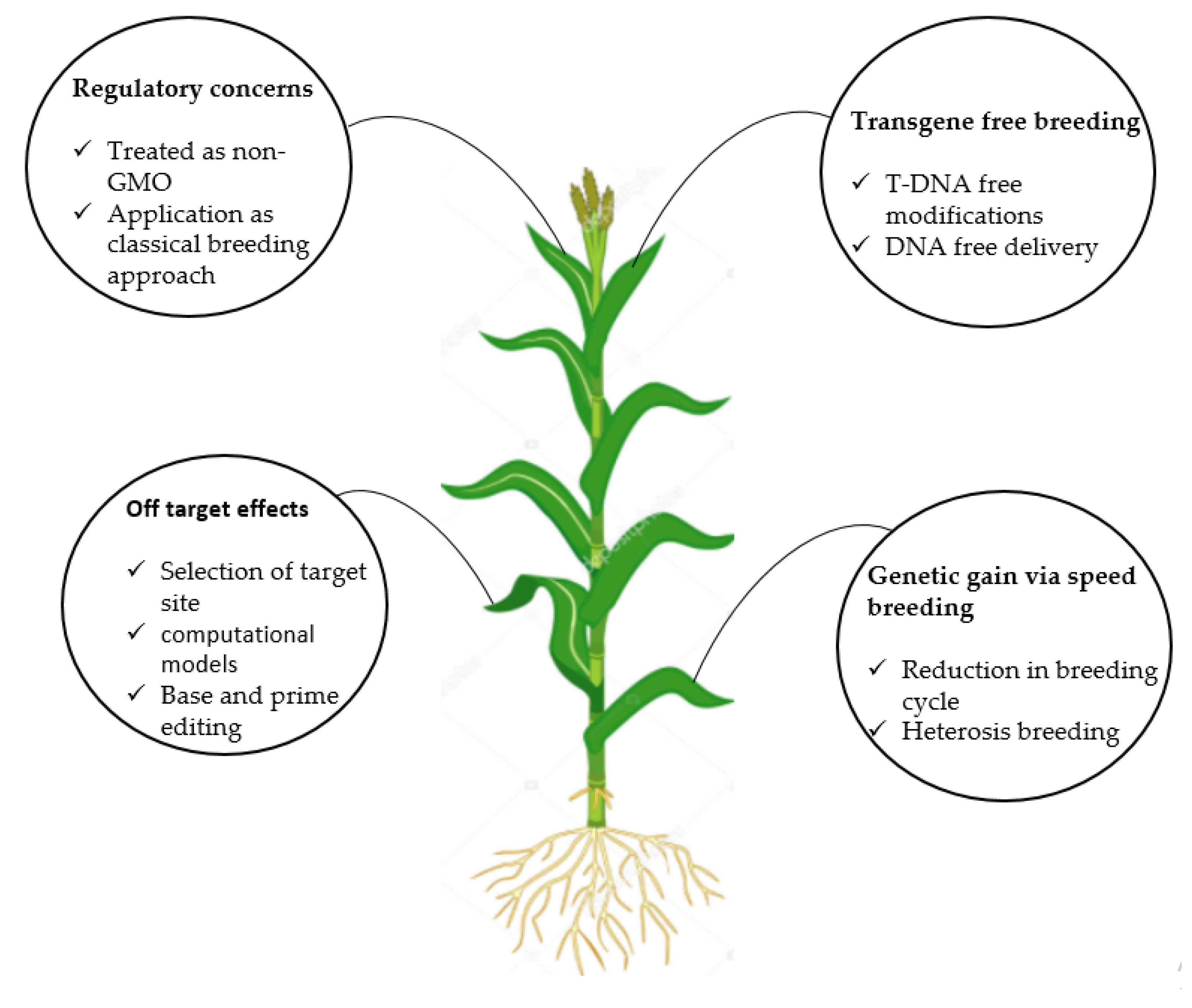 Ijms 22 05585 g004 Ijms 22 05585 g004