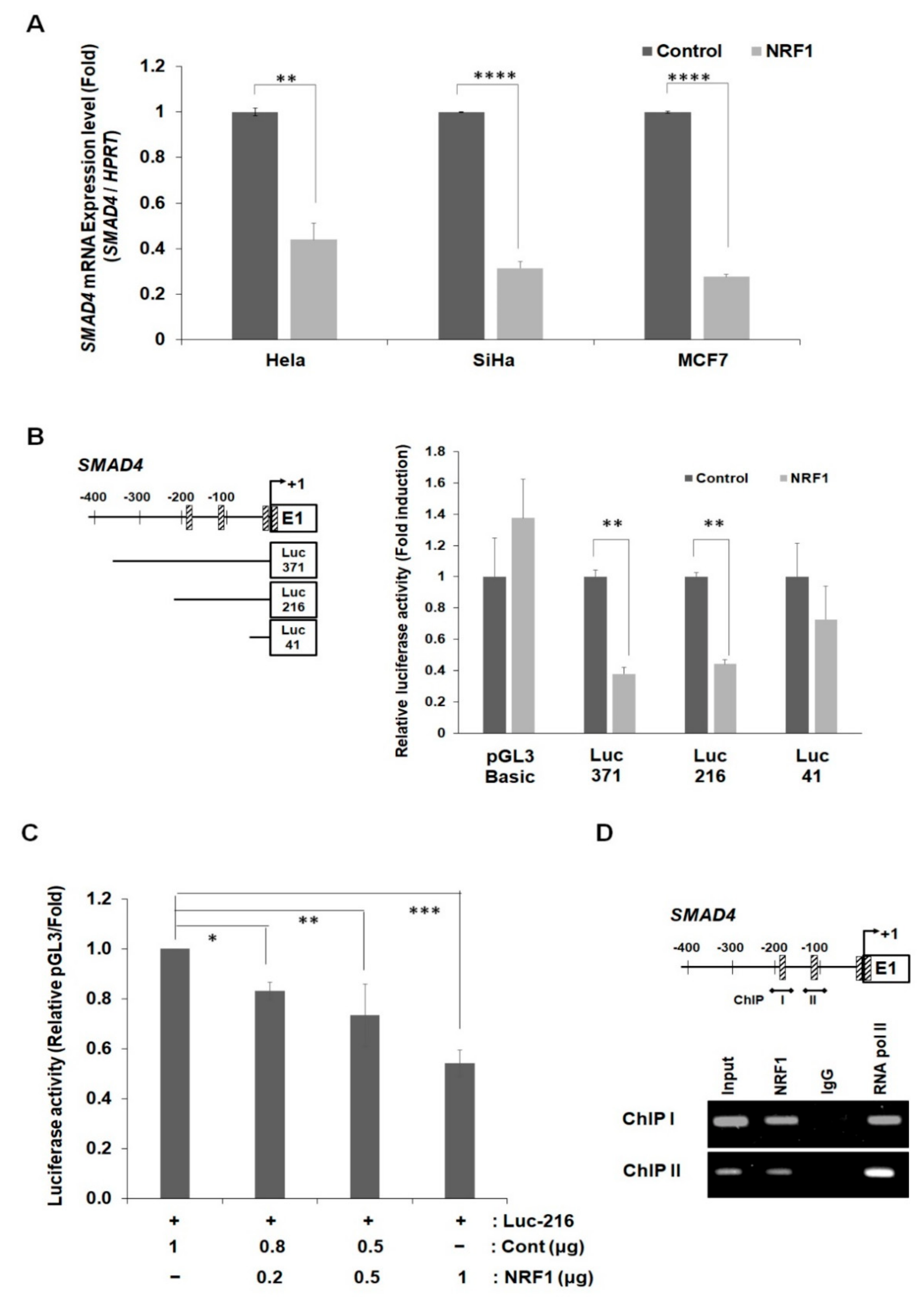 Ijms 22 05595 g005 Ijms 22 05595 g005