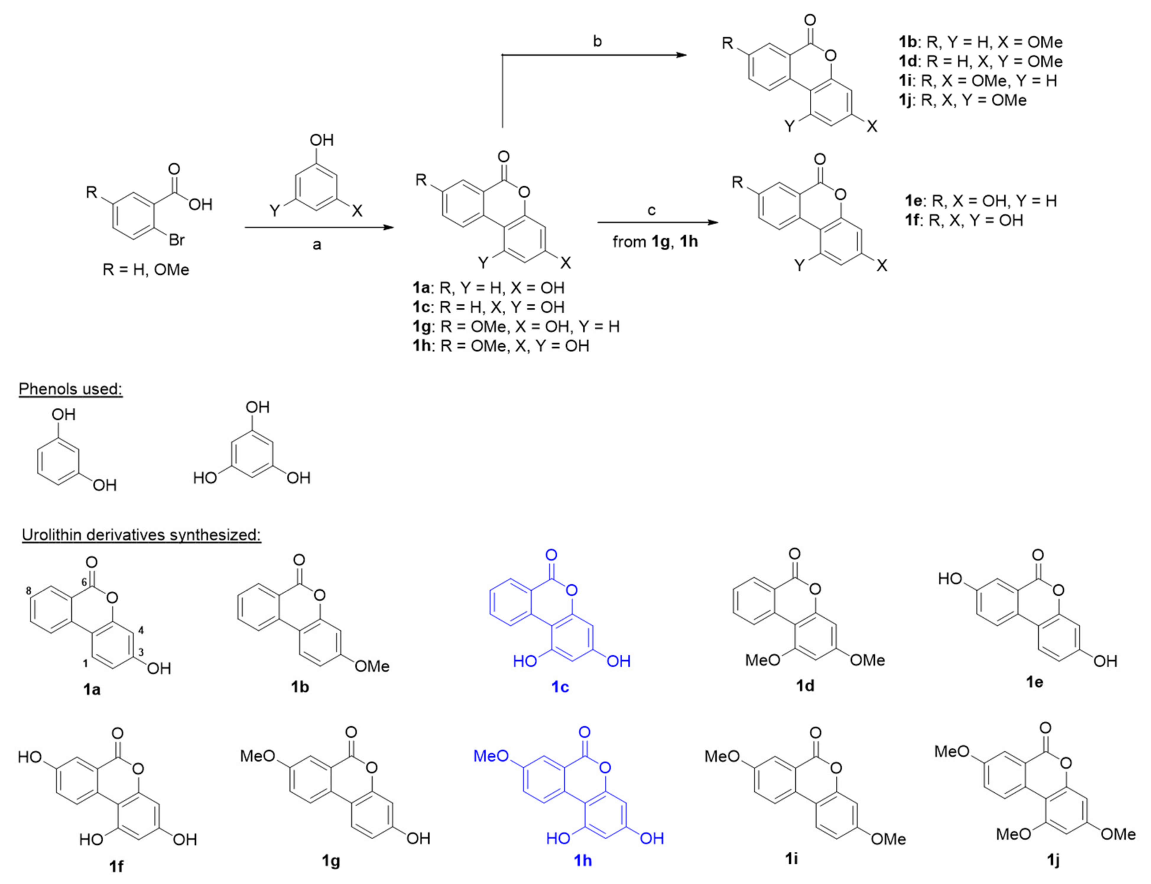 Ijms 22 05616 sch001
