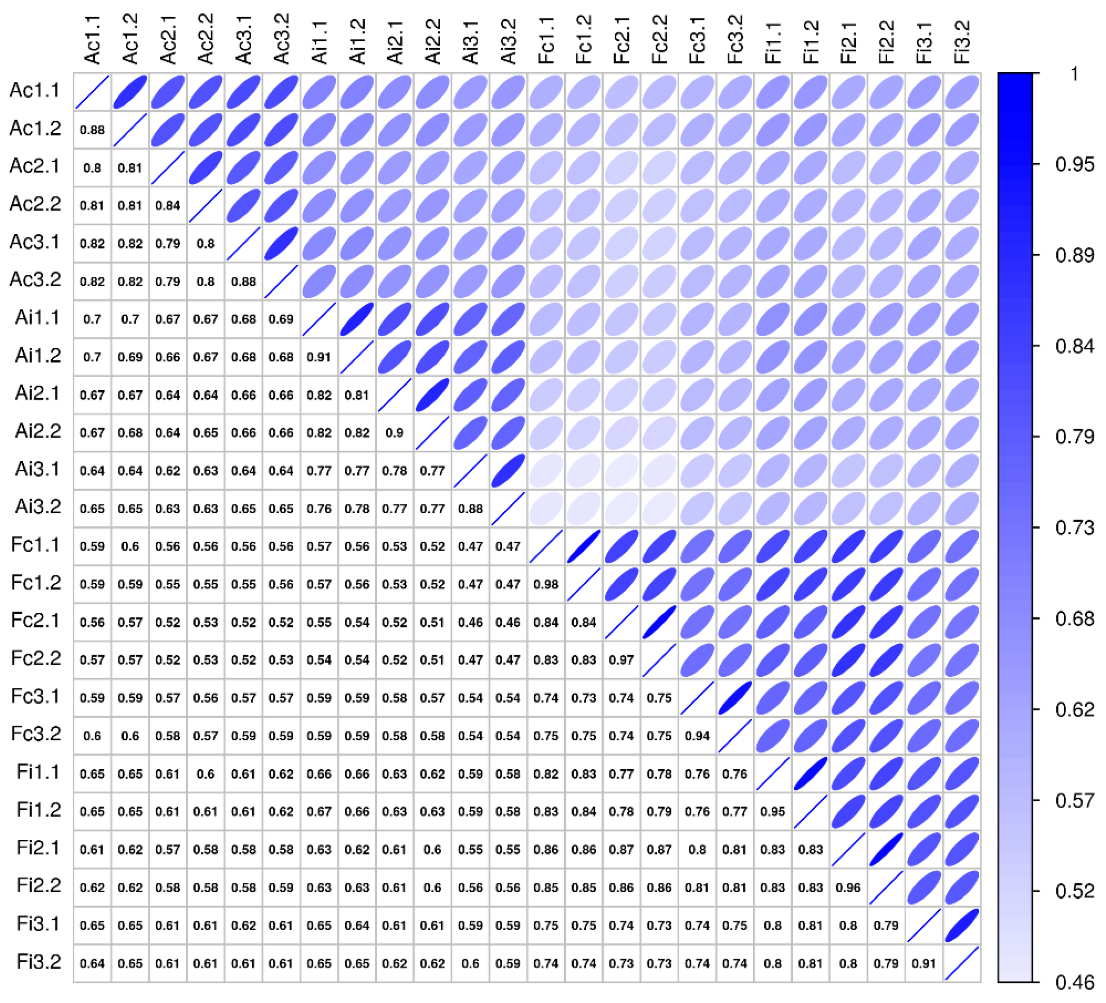 Ijms 22 05619 g006 Ijms 22 05619 g006