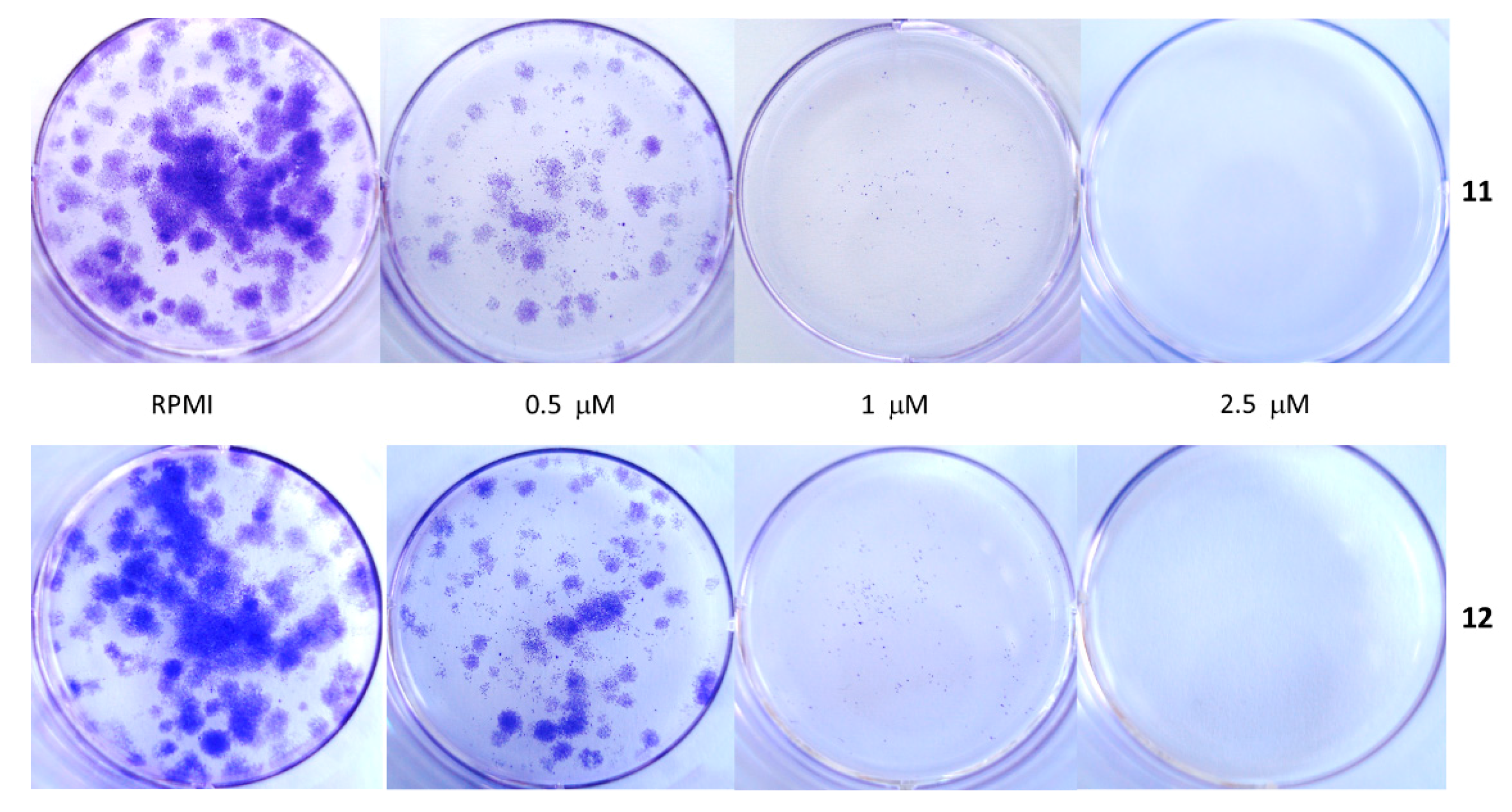 Ijms 22 05636 g004