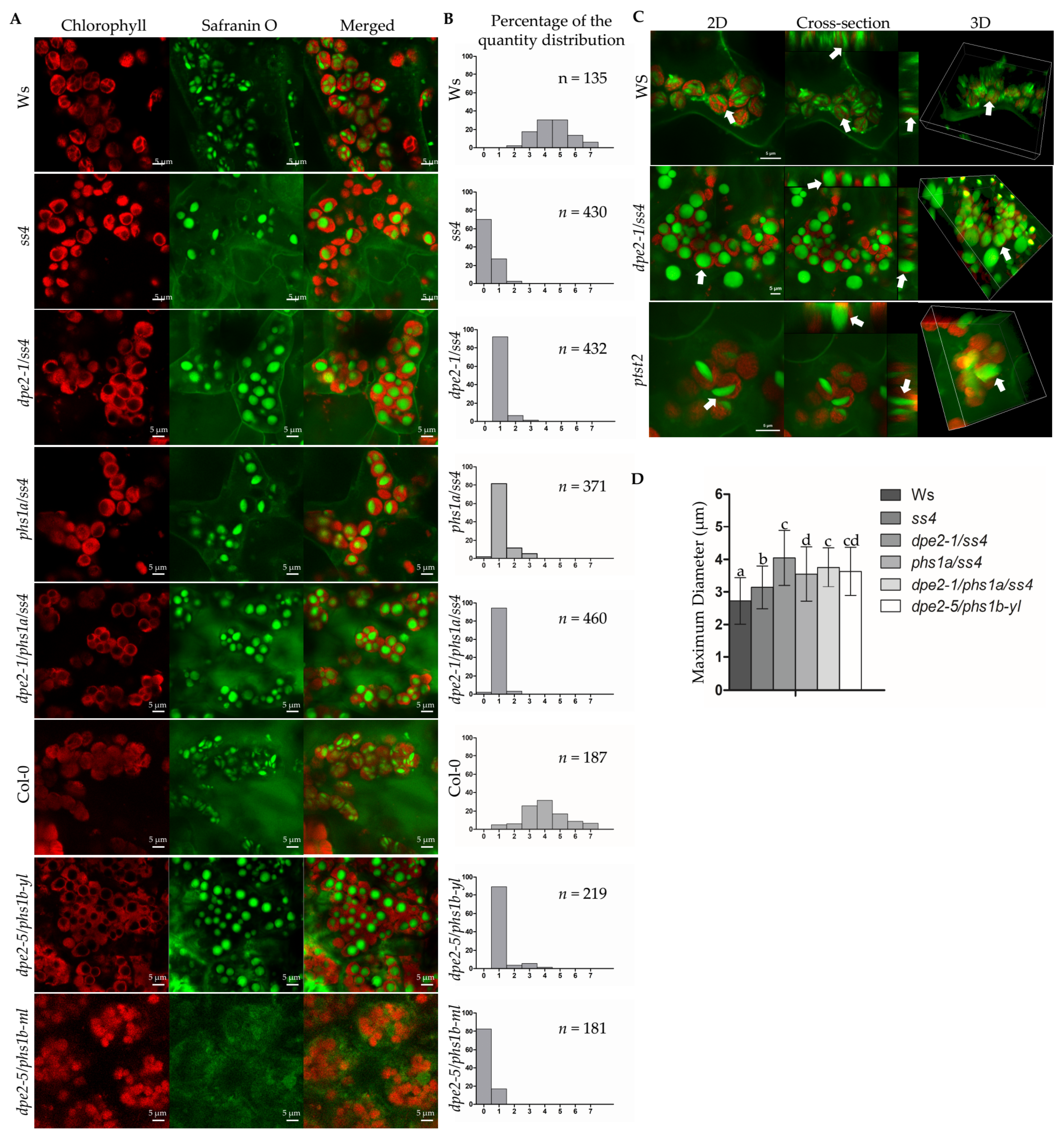 Ijms 22 05666 g001 Ijms 22 05666 g001