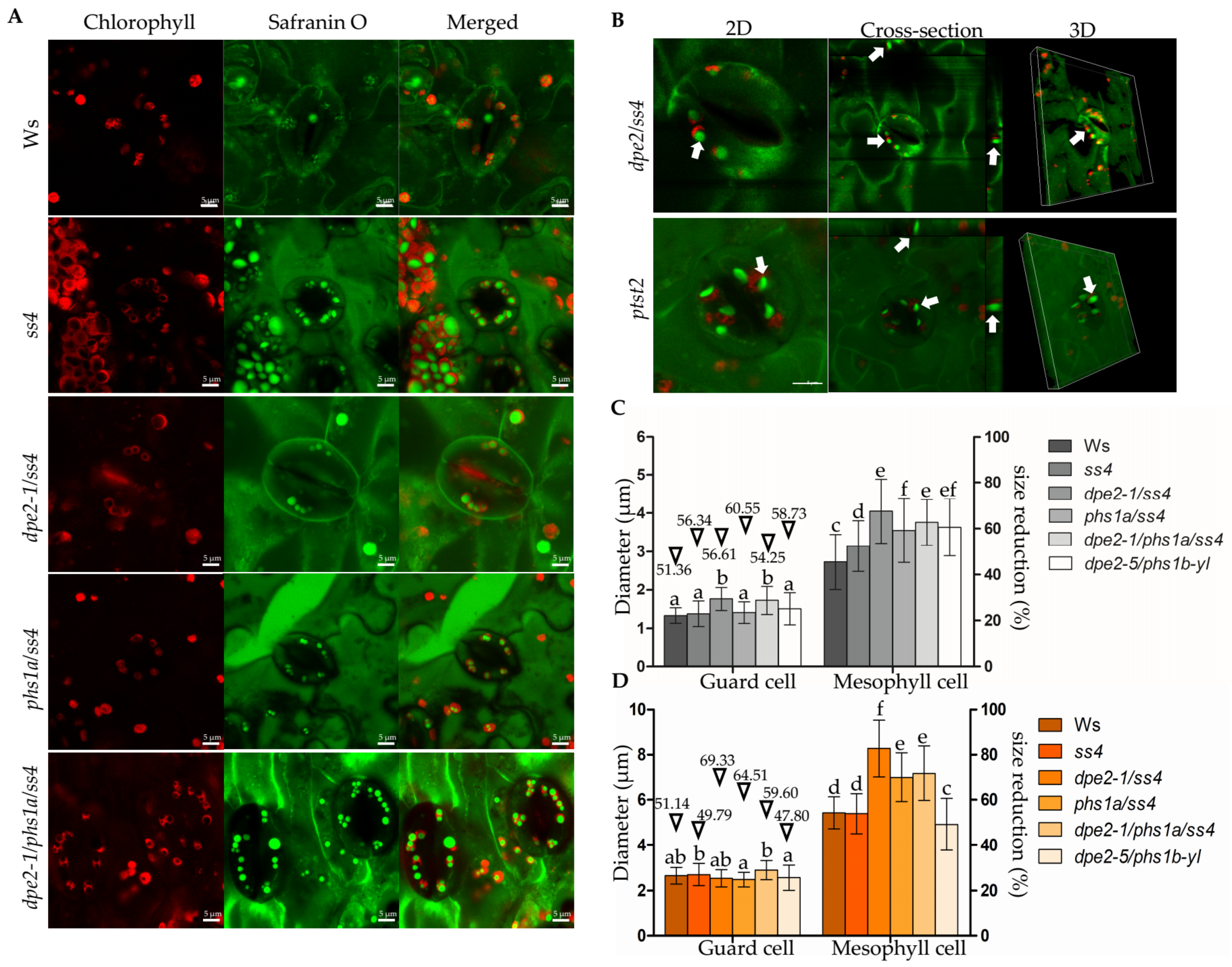 Ijms 22 05666 g002 Ijms 22 05666 g002