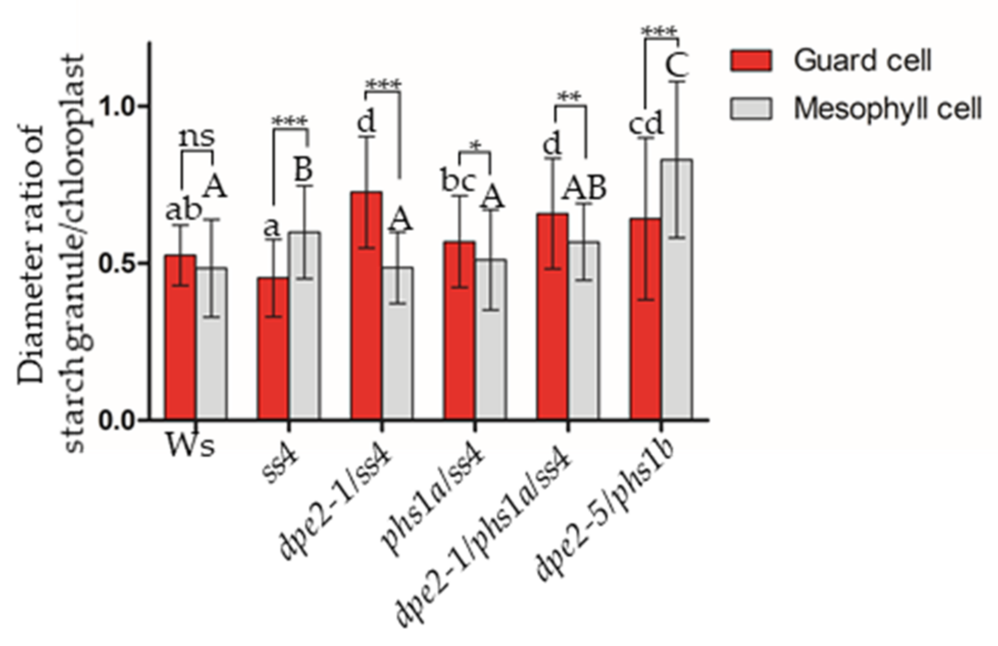 Ijms 22 05666 g003 Ijms 22 05666 g003