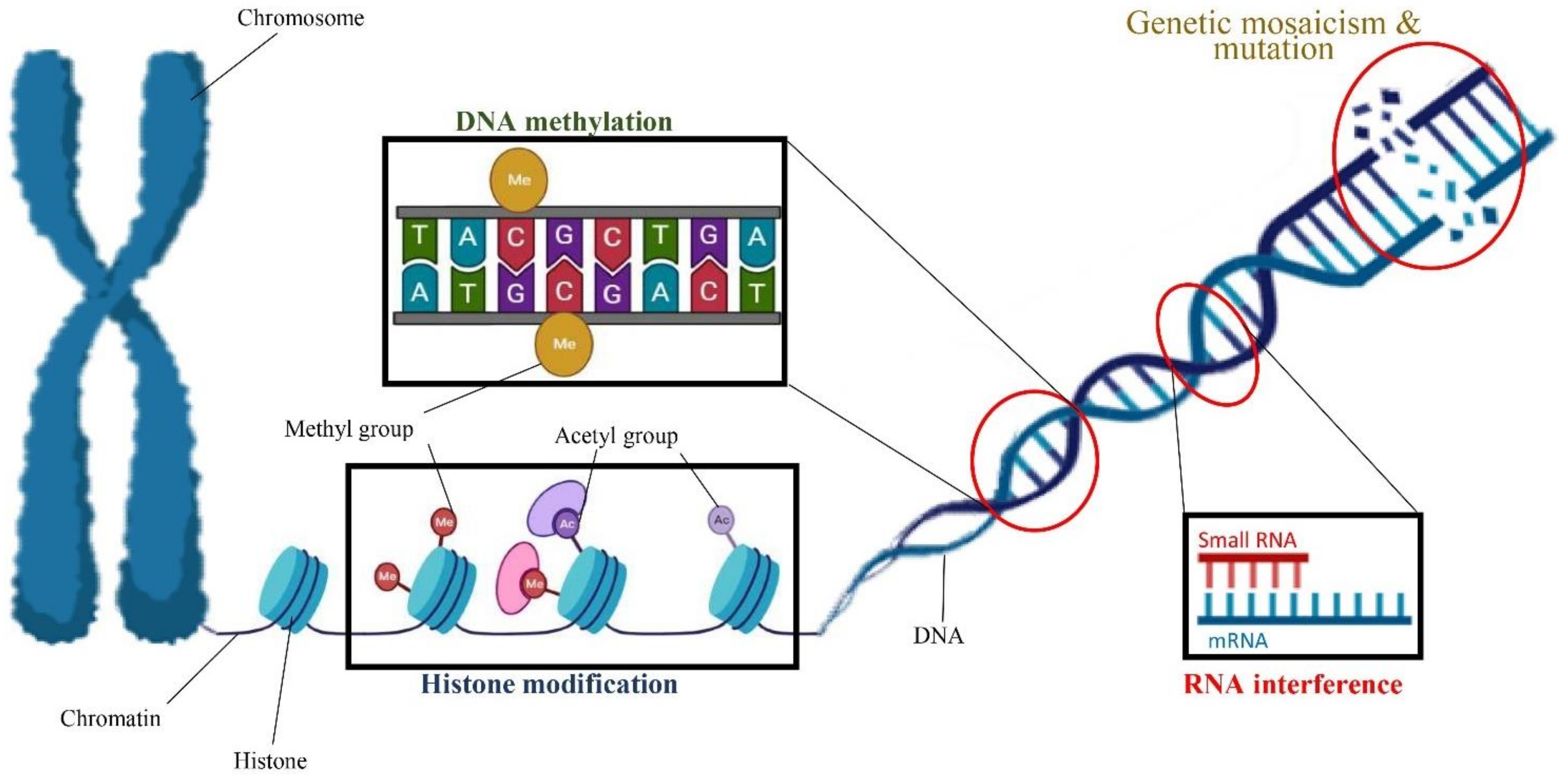 Ijms 22 05671 g004 Ijms 22 05671 g004